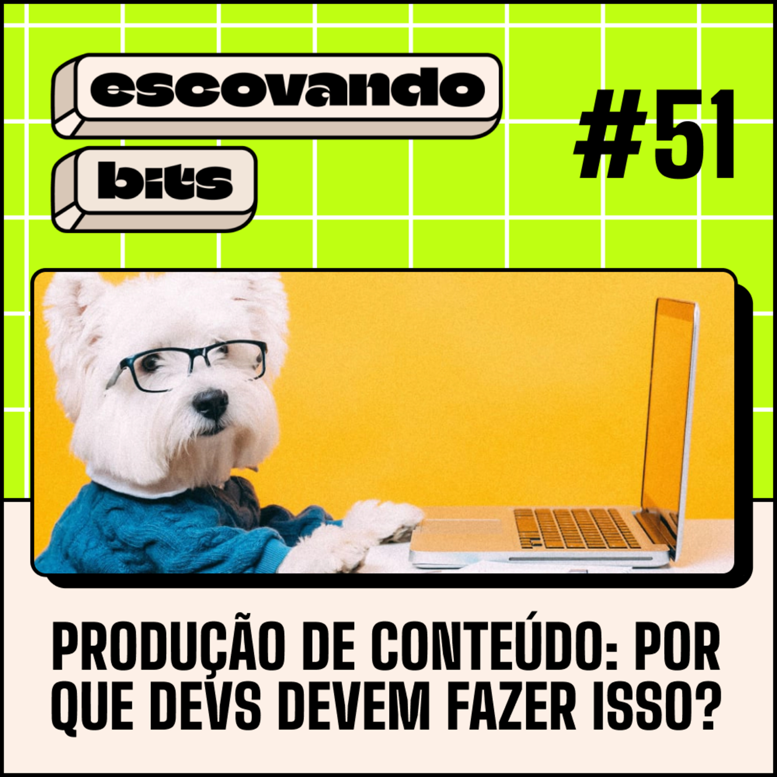 escovando bits