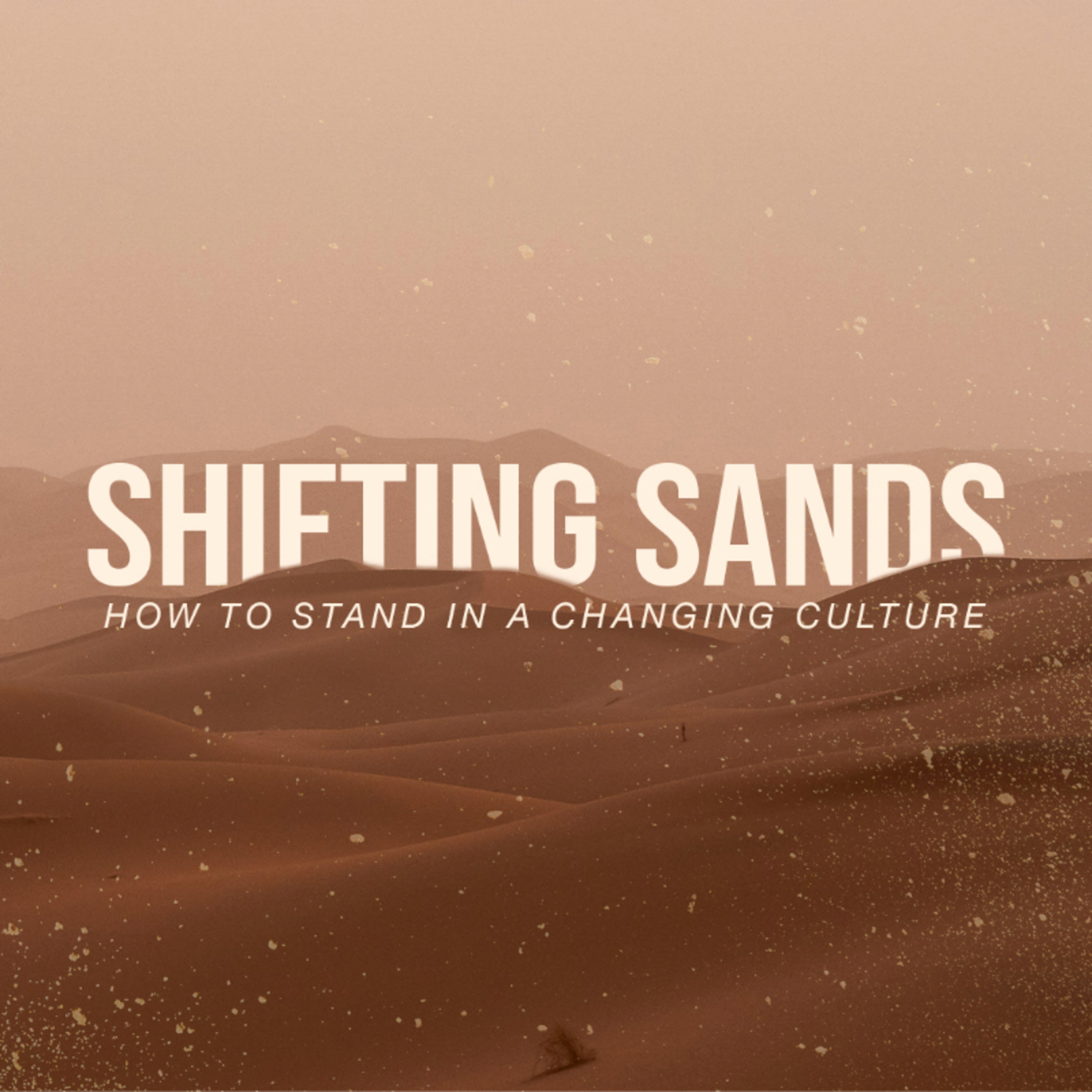 "Personhood and Identity" - Genesis 1:26-28 | Shifting Sands episode artwork
