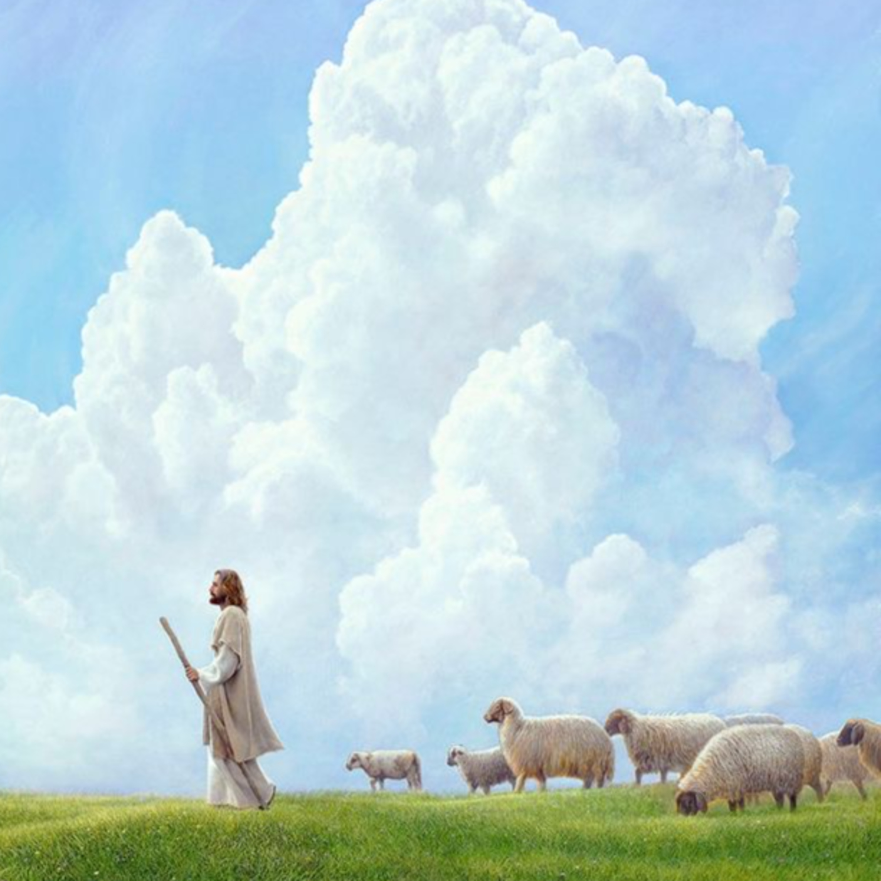 Psalm 1: The Way of the Righteous and the Wicked episode artwork