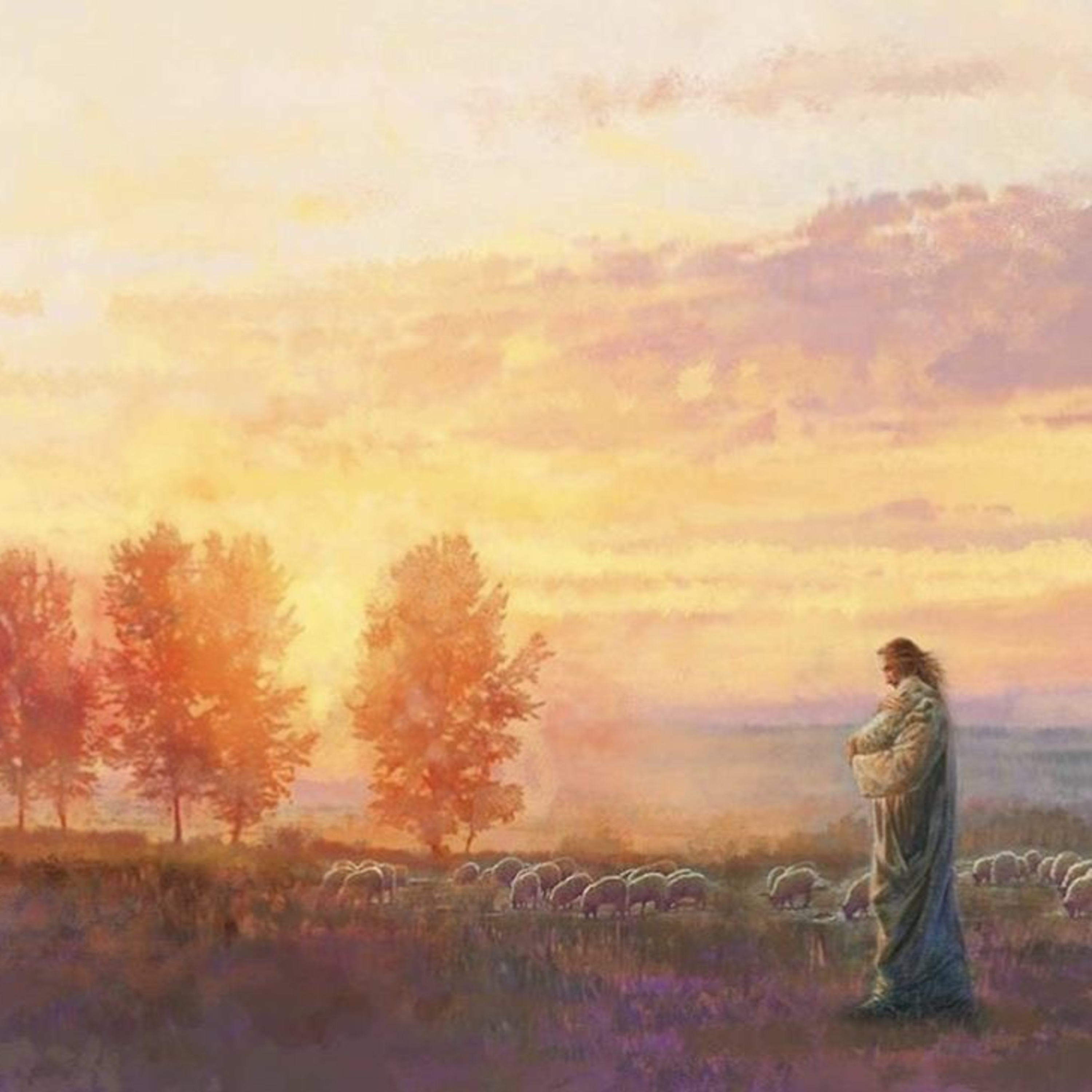 Psalm 19: The Law of the Lord Is Perfect episode artwork