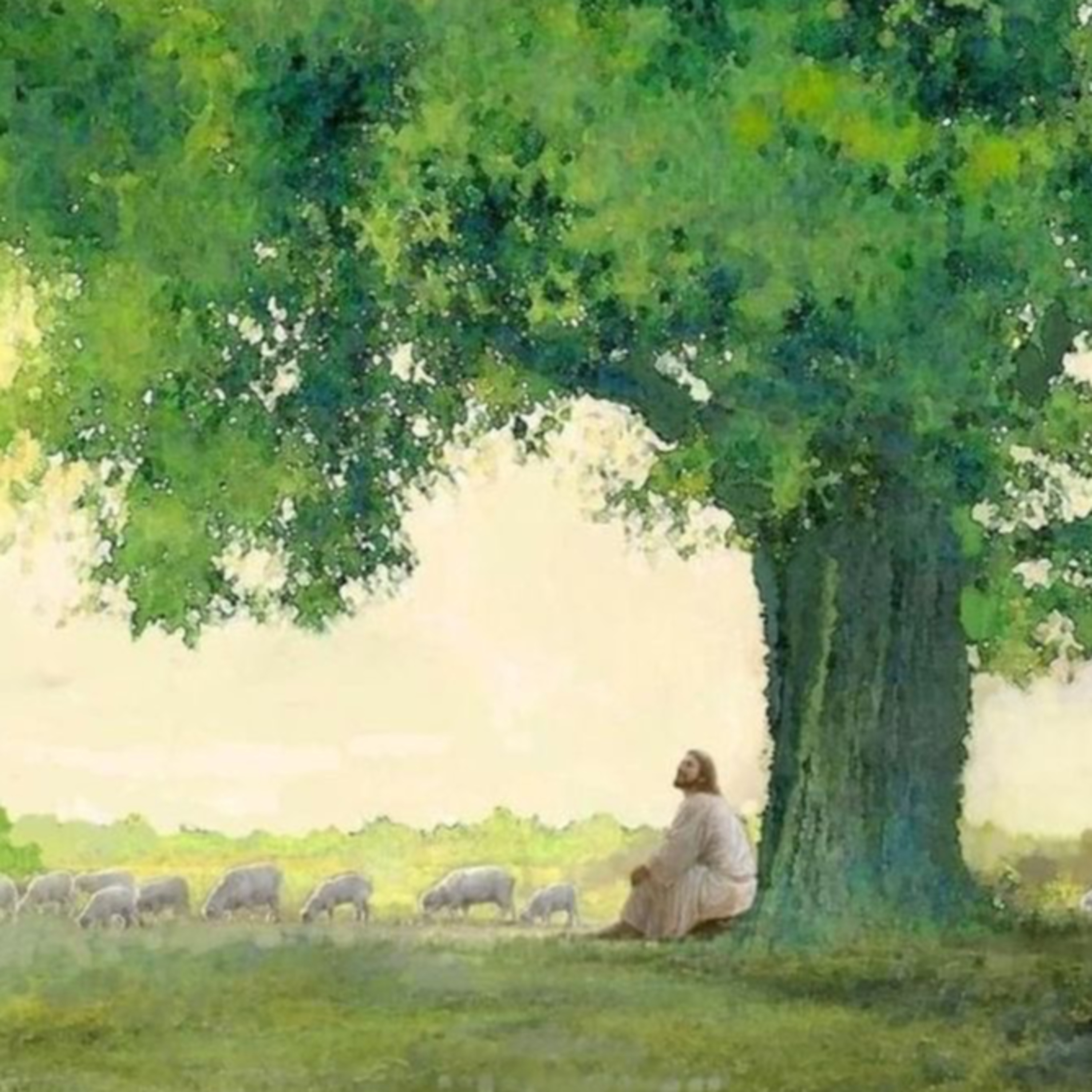 Psalm 22: Why Have You Forsaken Me? episode artwork