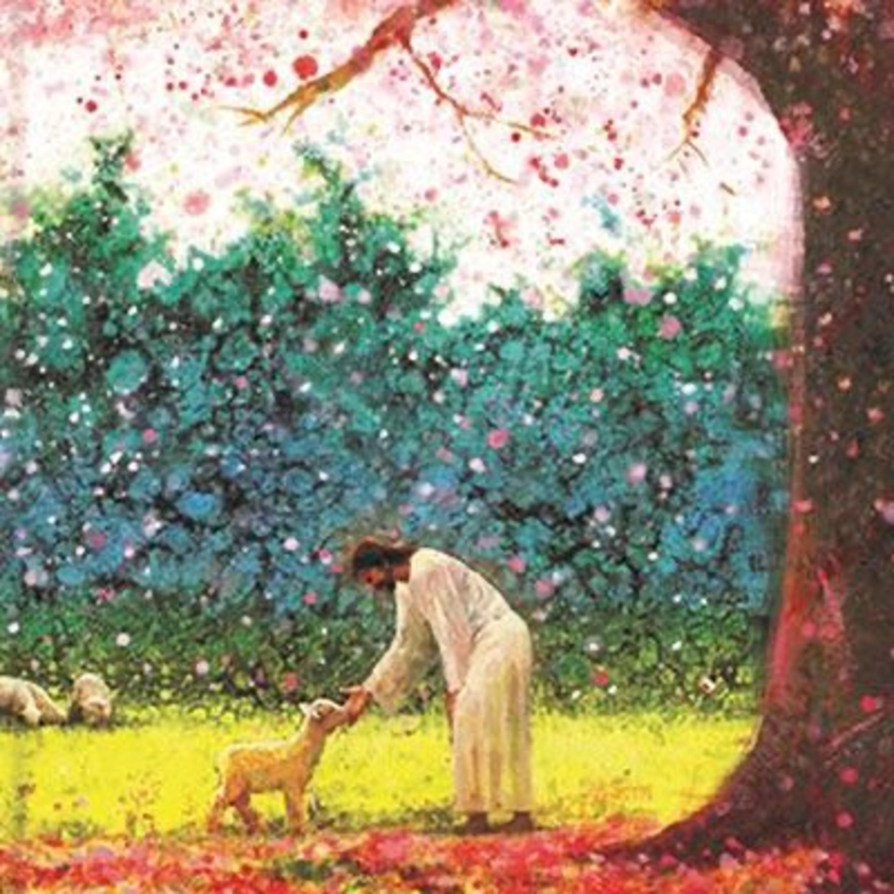 Psalm 25: Teach Me Your Paths episode artwork