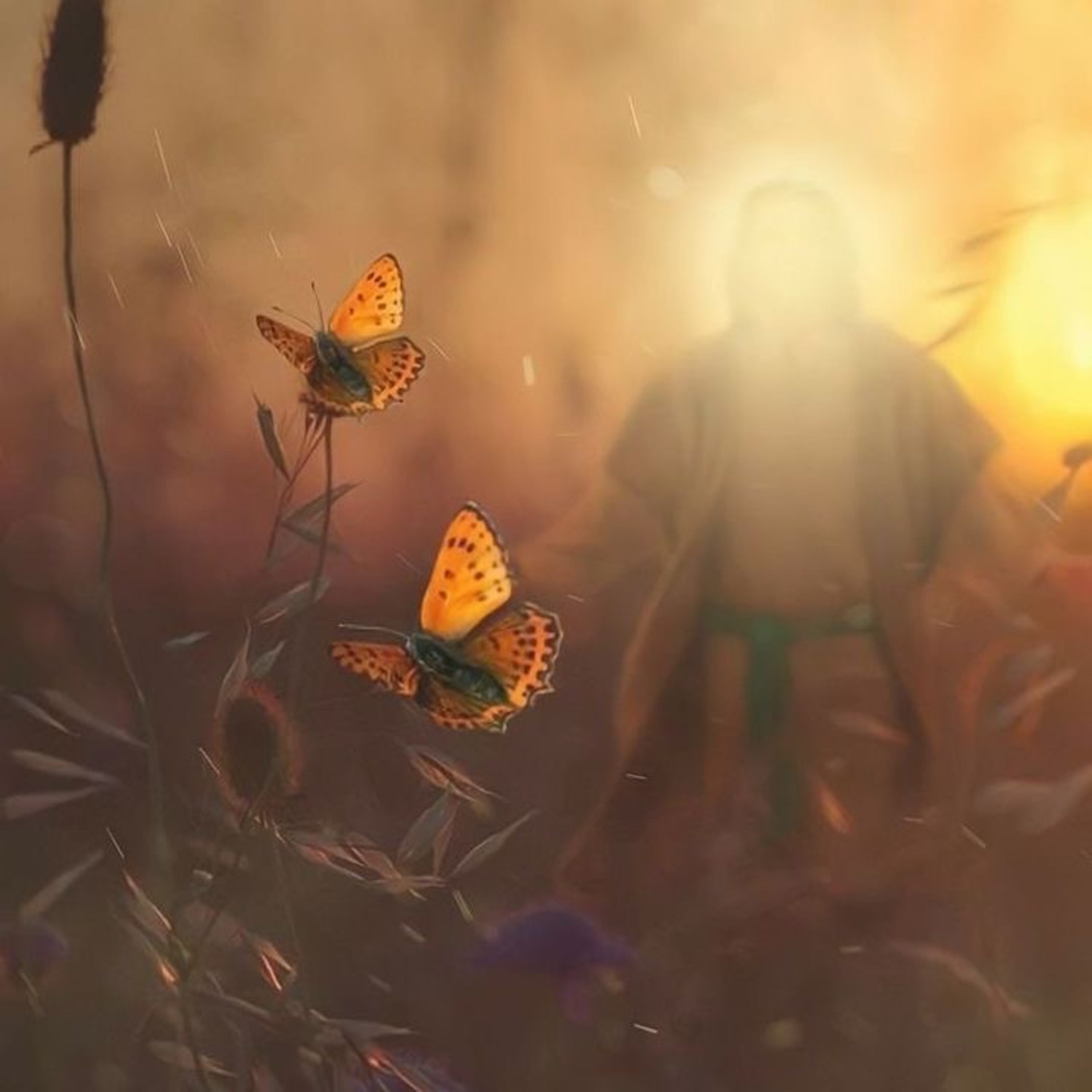 Psalm 39: What Is the Measure of My Days? episode artwork