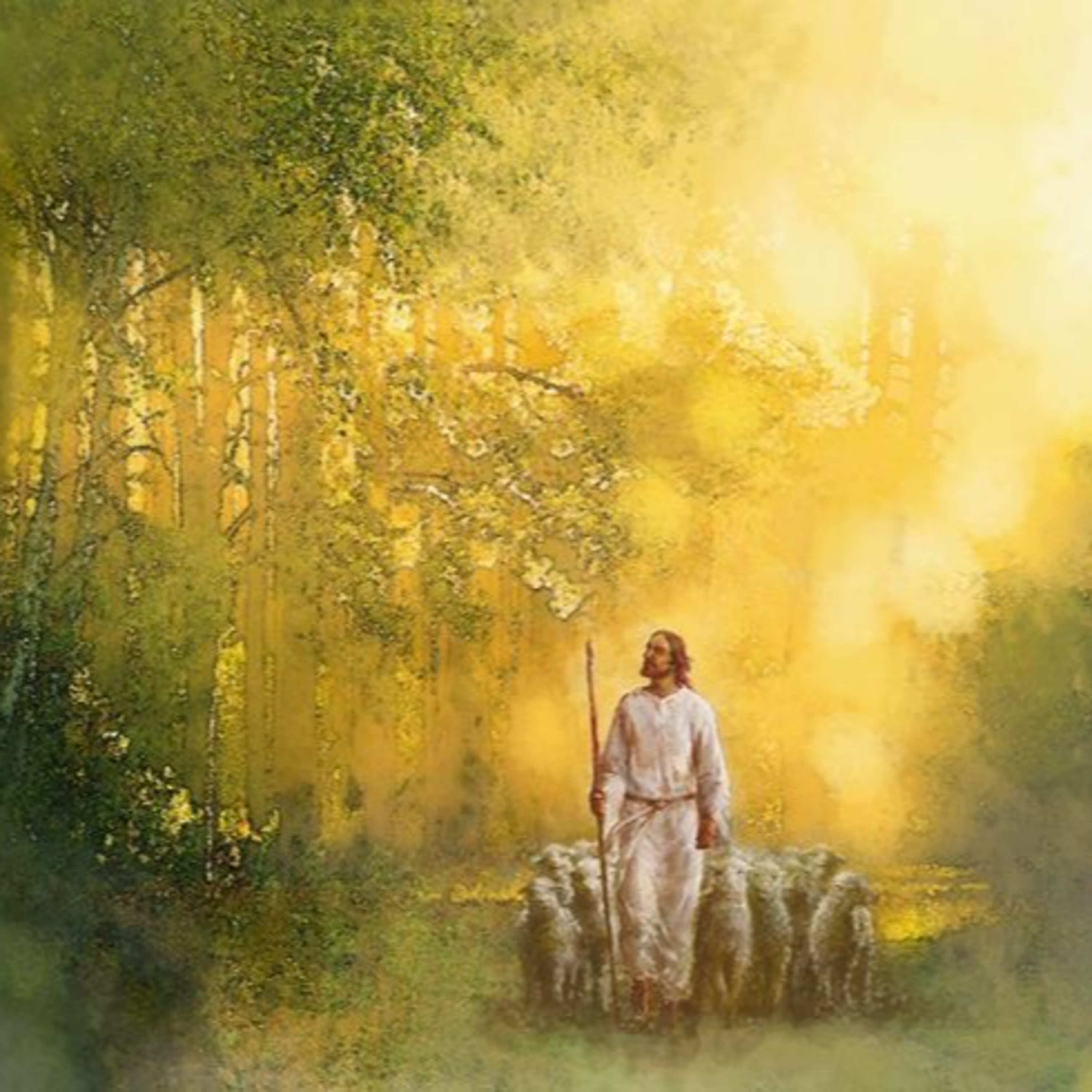 Psalm 43: Send Out Your Light and Your Truth episode artwork
