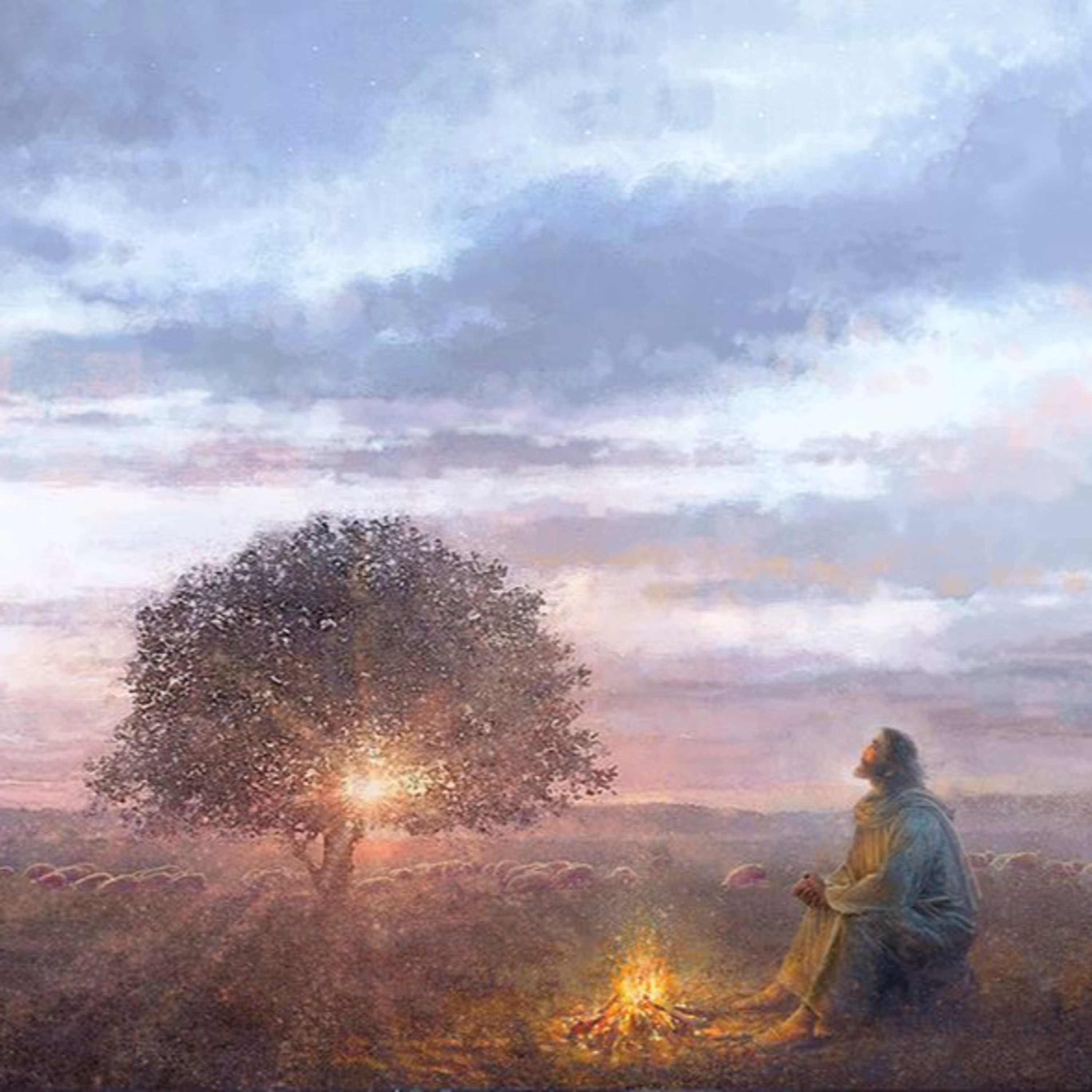 Psalm 52: The Steadfast Love of God Endures episode artwork