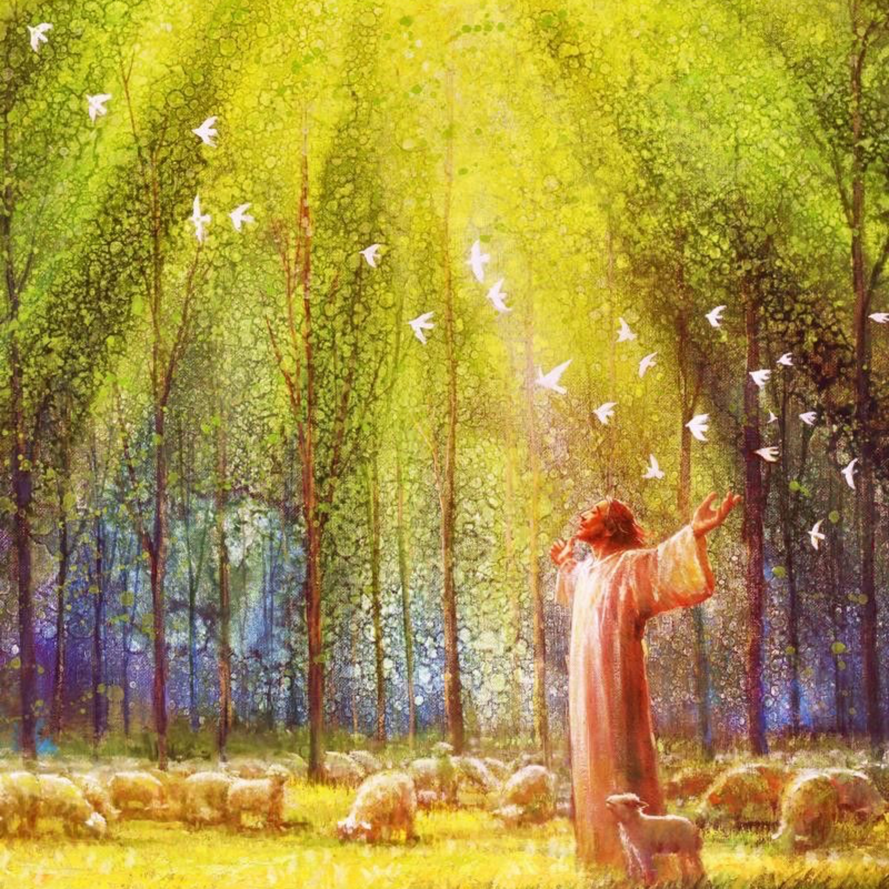 Psalm 134: Come, Bless the Lord episode artwork