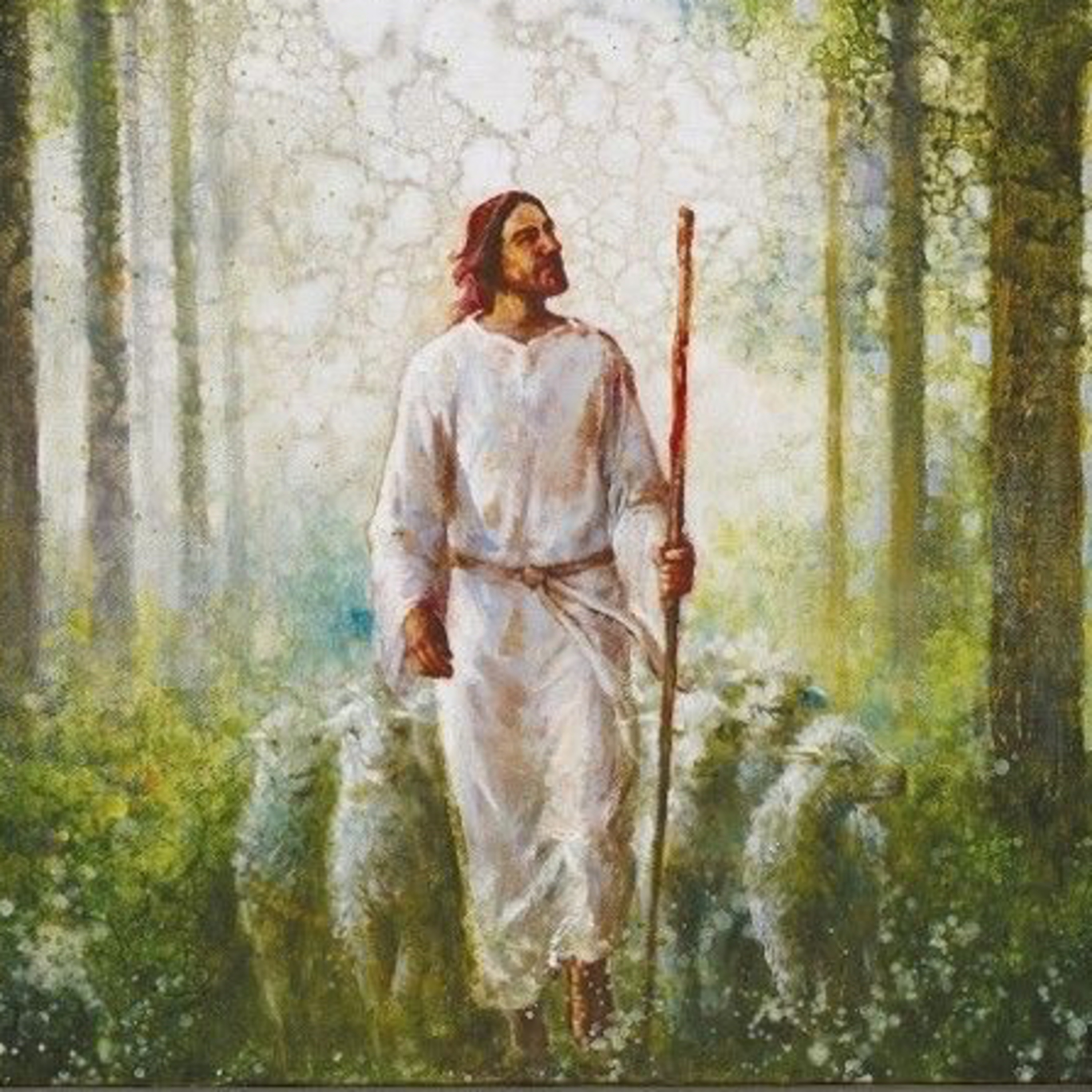 Psalm 135: Your Name, O Lord, Endures Forever episode artwork