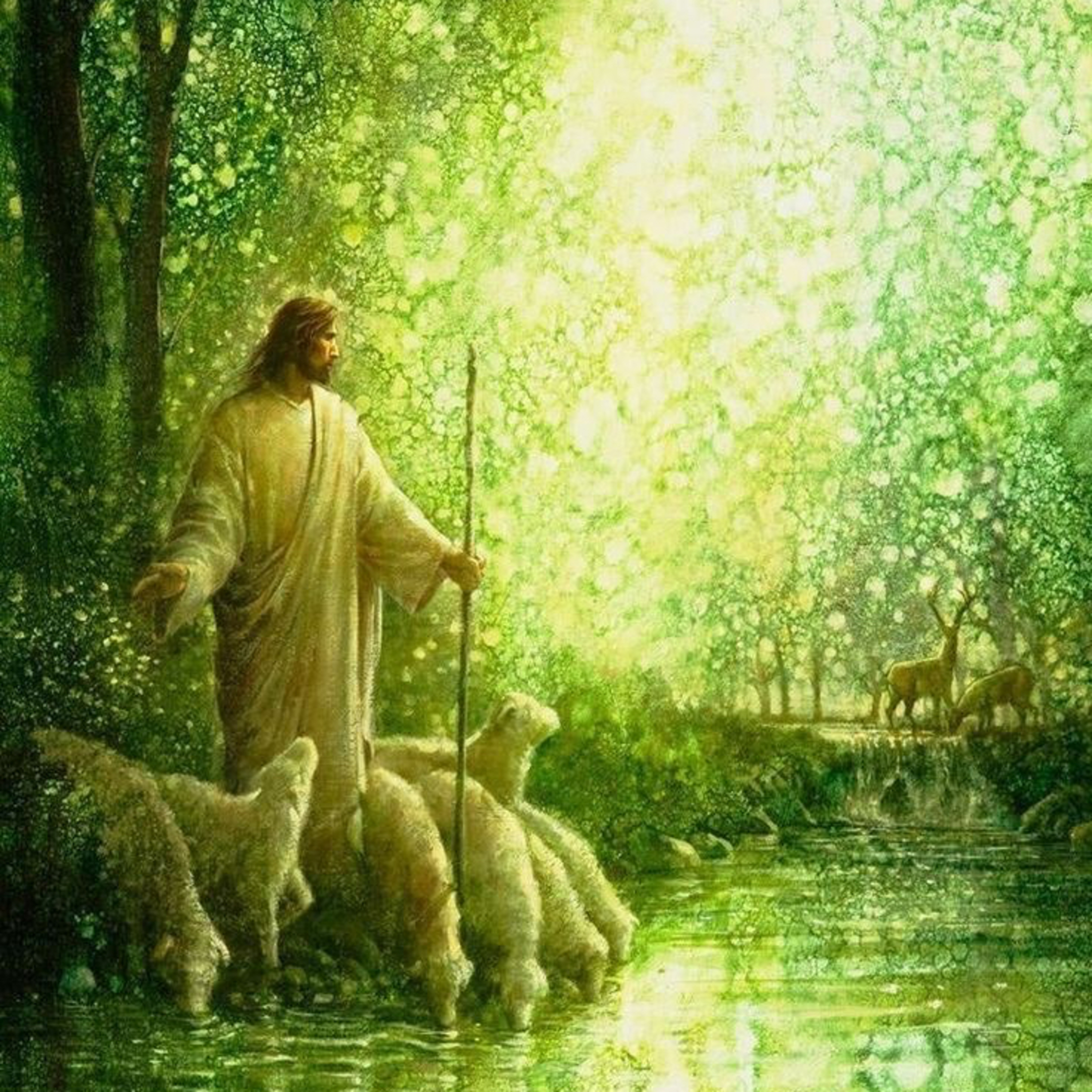 Psalm 142: You Are My Refuge episode artwork