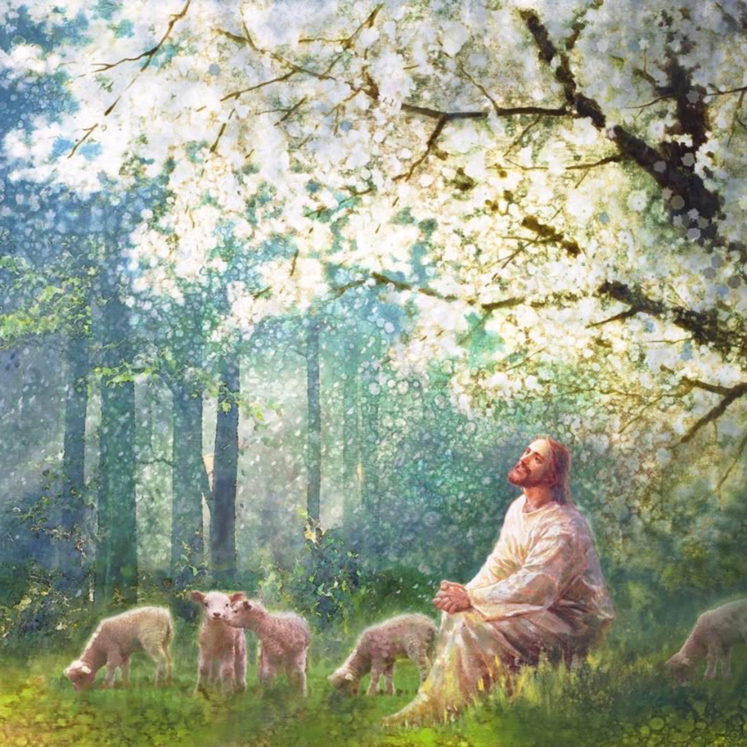 Psalm 143: My Soul Thirsts for You episode artwork