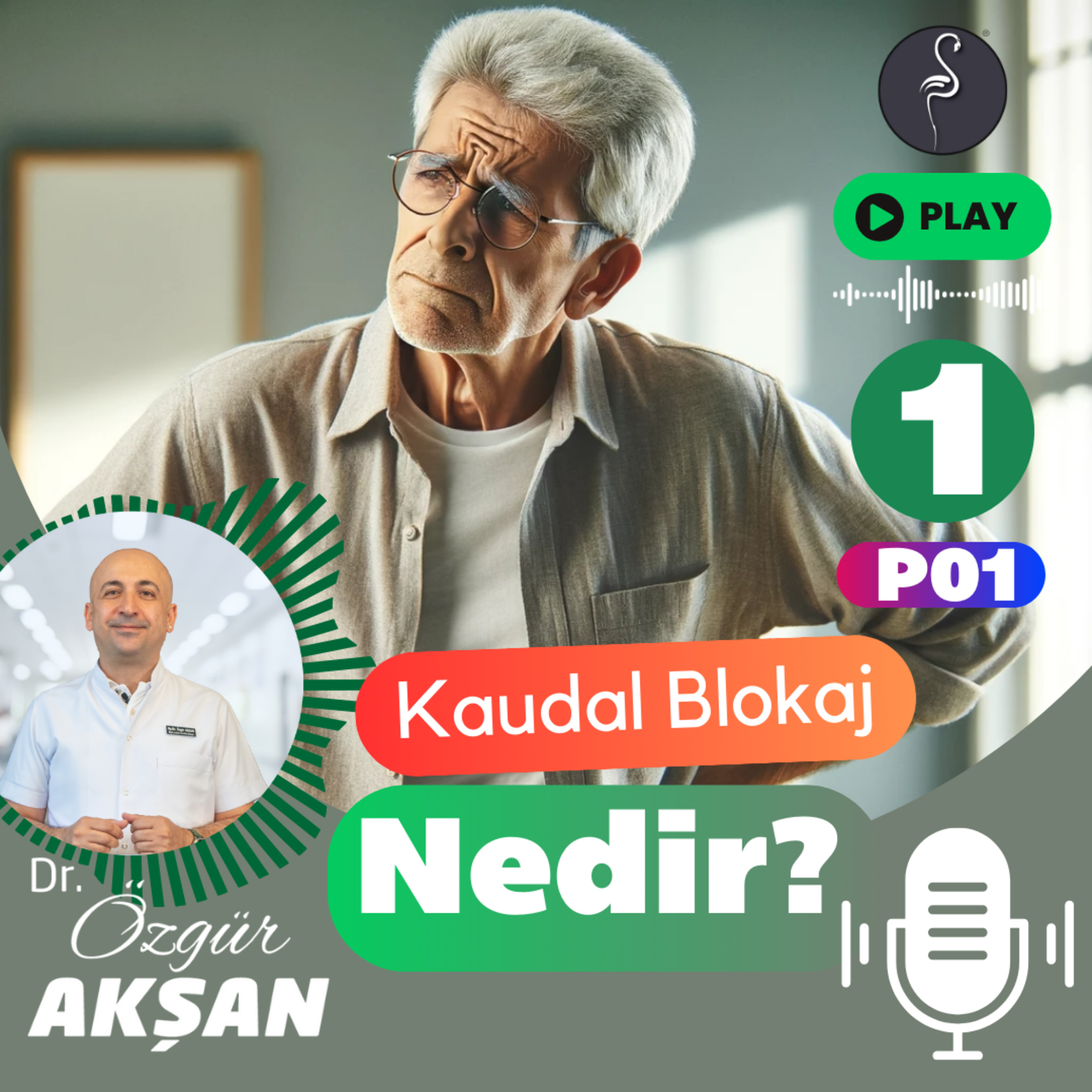 Kaudal Blokaj Nedir ? - Ağrı Tedavisi - Dr Özgür Akşan - İzmir (Bel Fıtığı - Kanal Daralması)