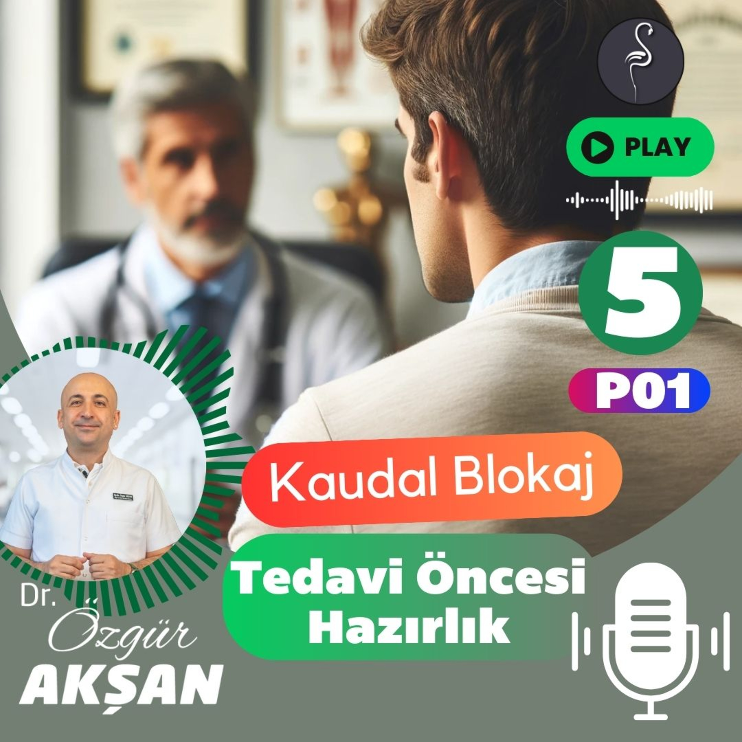 05 | Kaudal Blok Öncesi Hazırlık | Kaudal Blokaj episode artwork