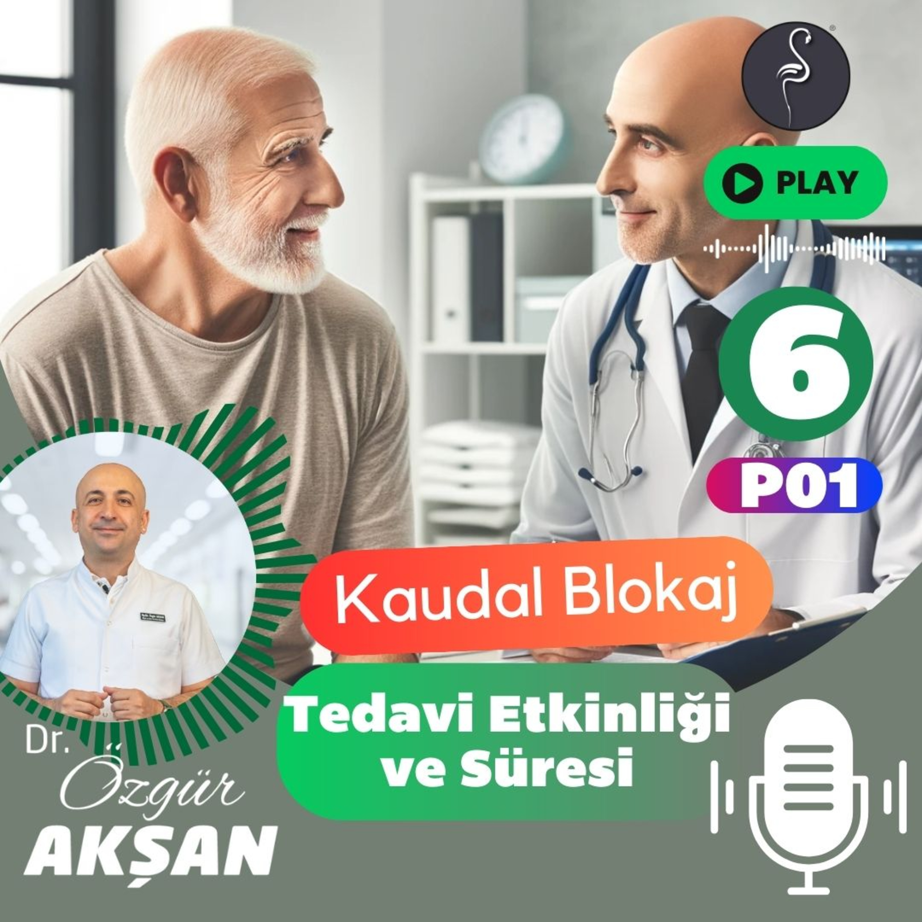 06 | Tedavi Etkinliği ve Süresi | Kaudal Blokaj episode artwork