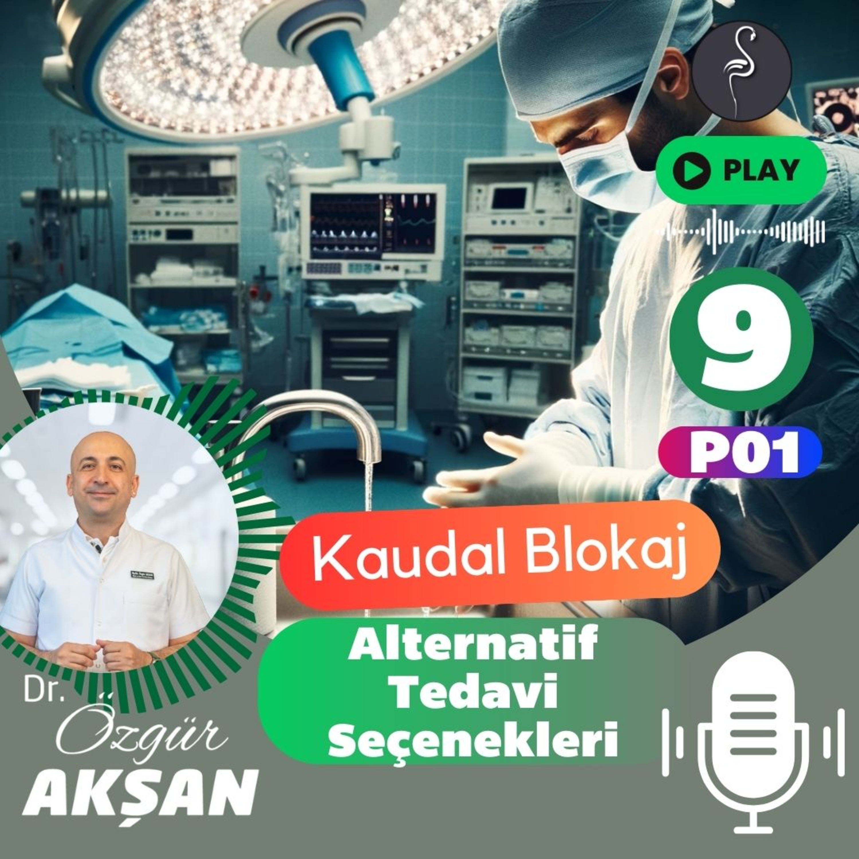Kaudal Blokaj Nedir ? - Ağrı Tedavisi - Dr Özgür Akşan - İzmir (Bel Fıtığı - Kanal Daralması)