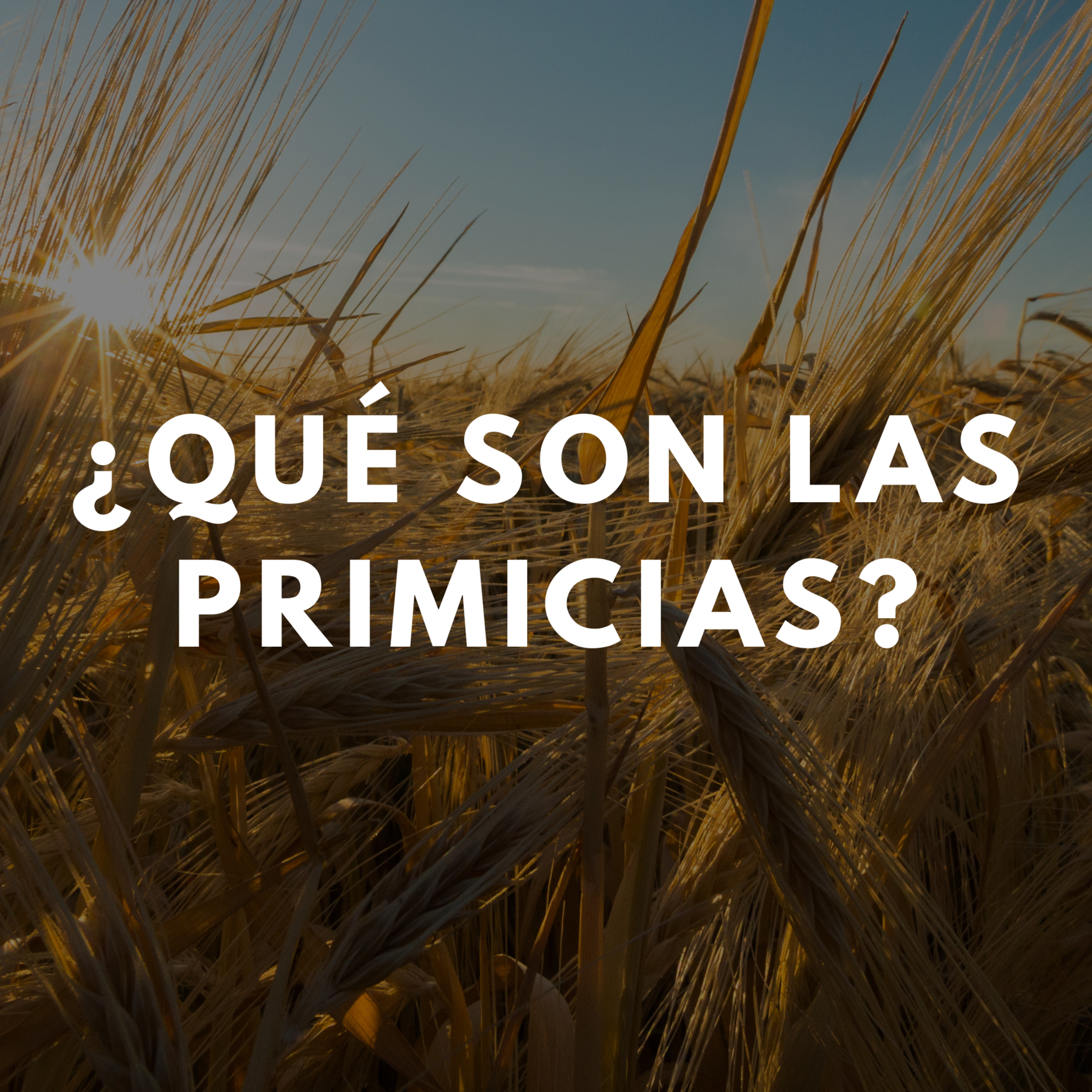 Mes de Primicias: ¿Qué Son las Primicias? episode artwork