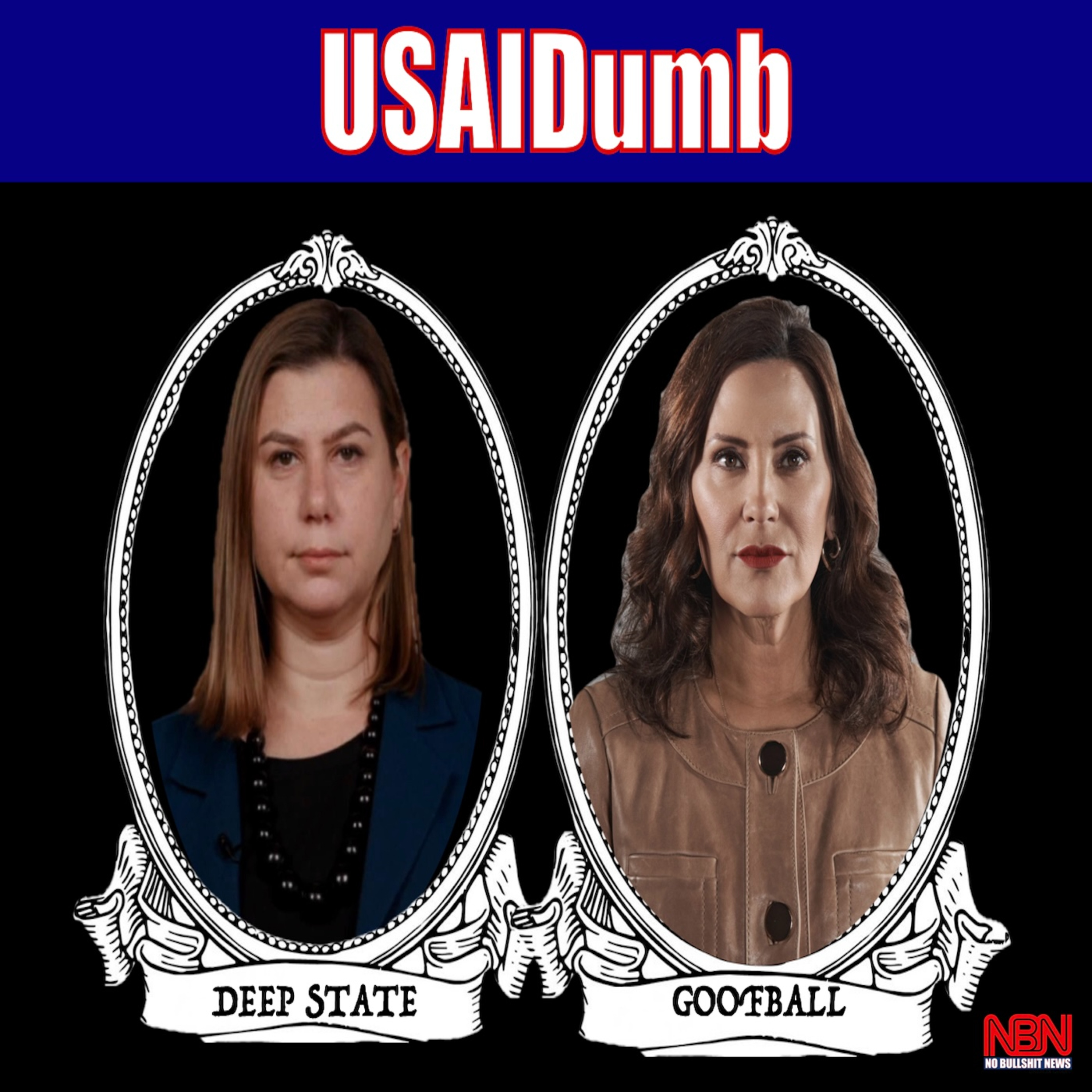 USAIDumb