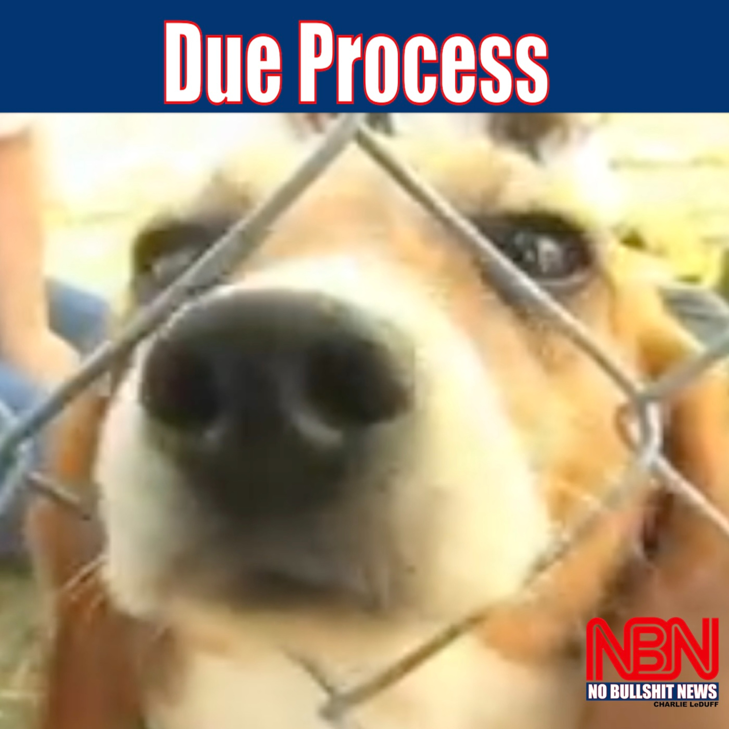 Due Process