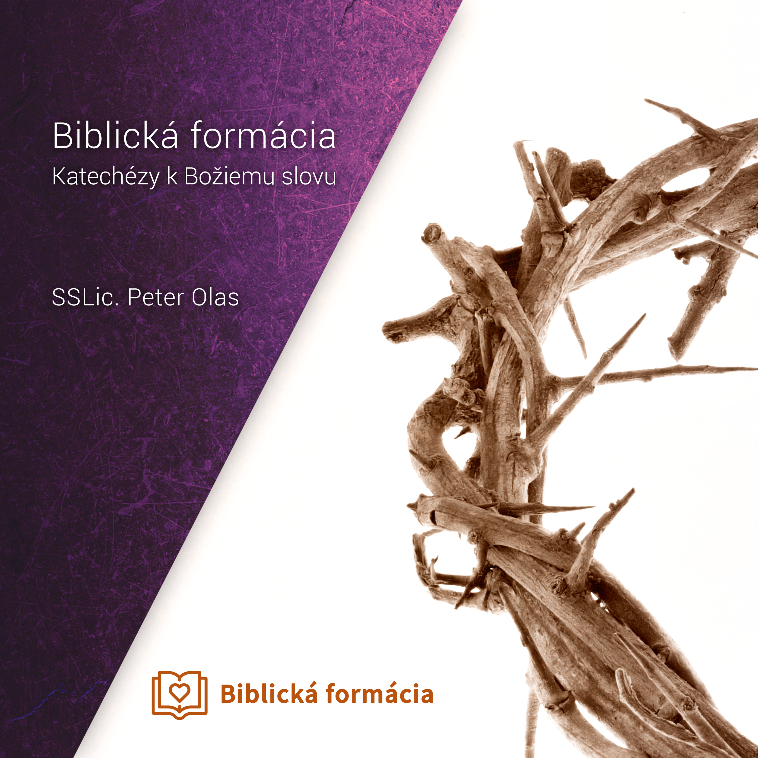 Biblická formácia - Peter Olas