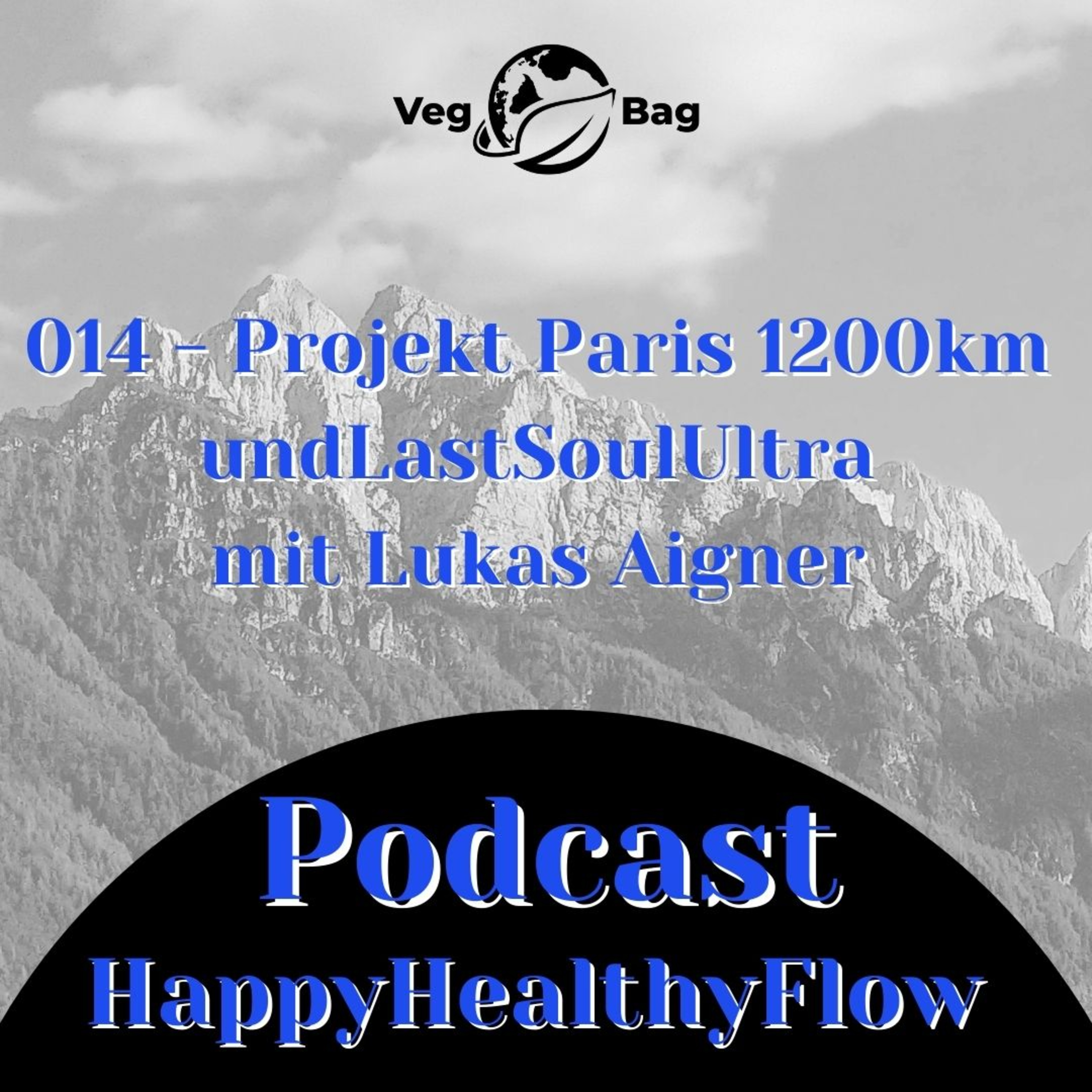 #015 - Projekt Paris 1200km un dder LastSoul Ultra mit Lukas Aigner  episode artwork