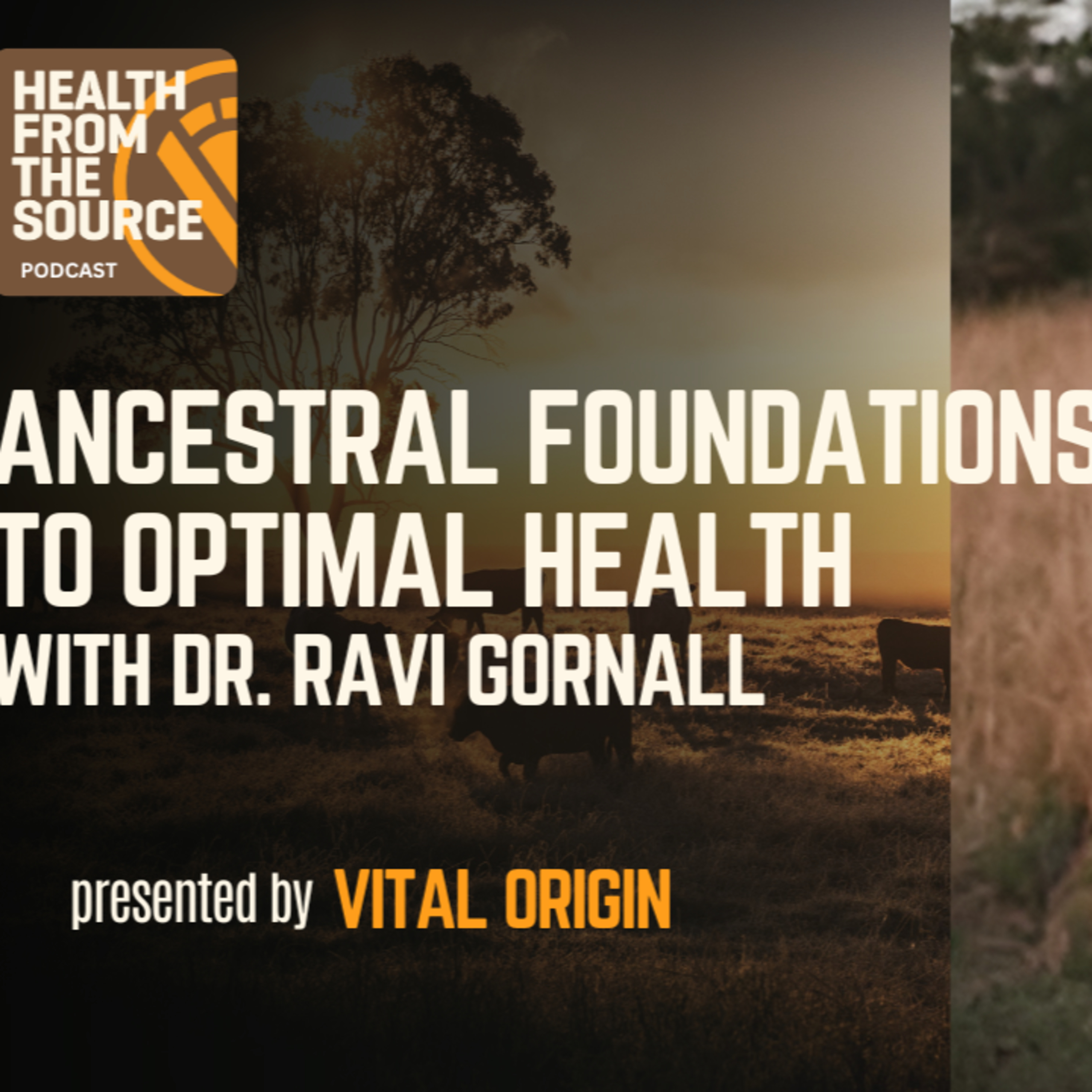 Health From The Source