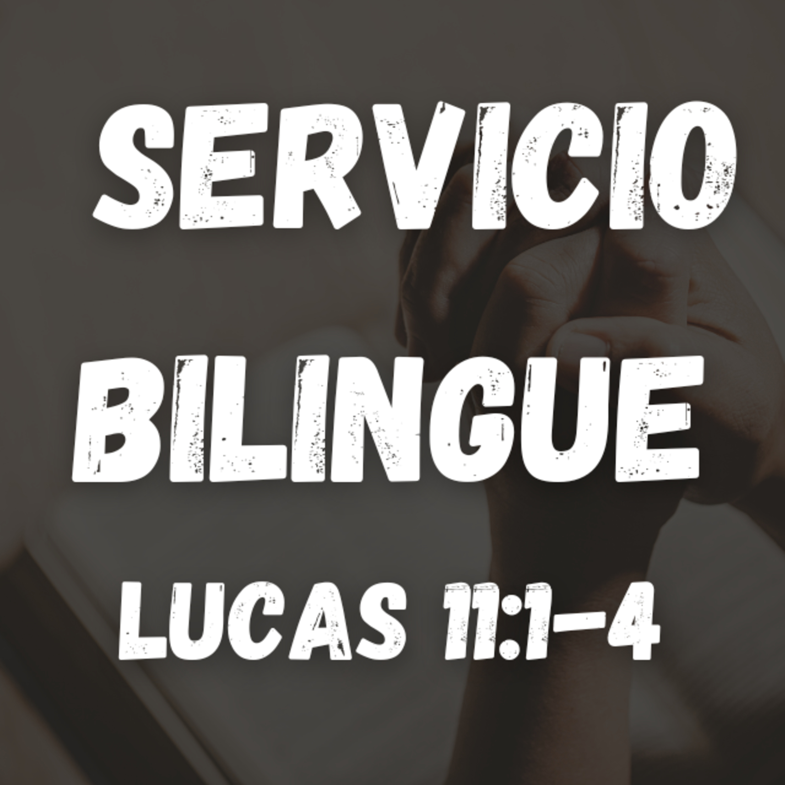 Servicio Bilingue