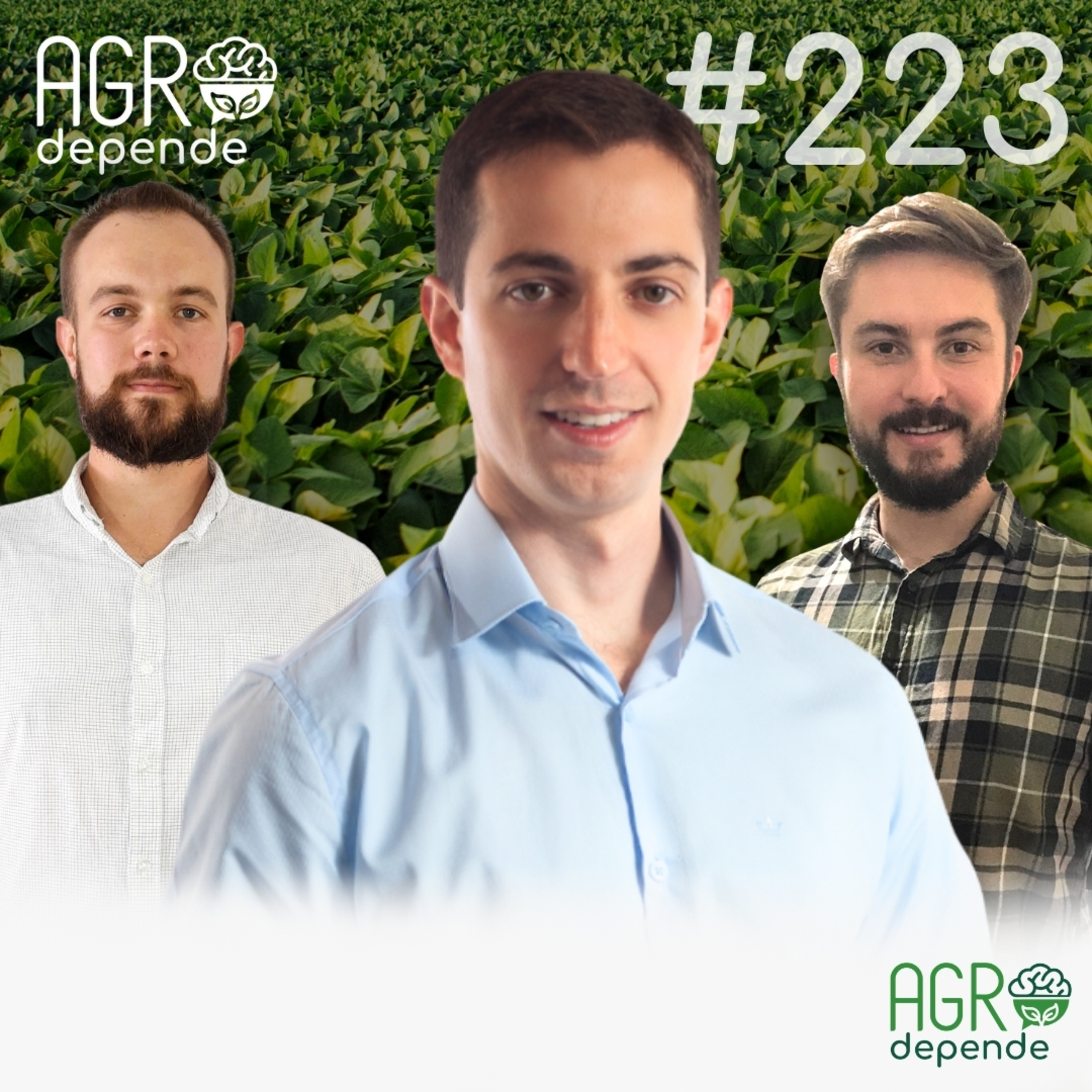 Agro Depende