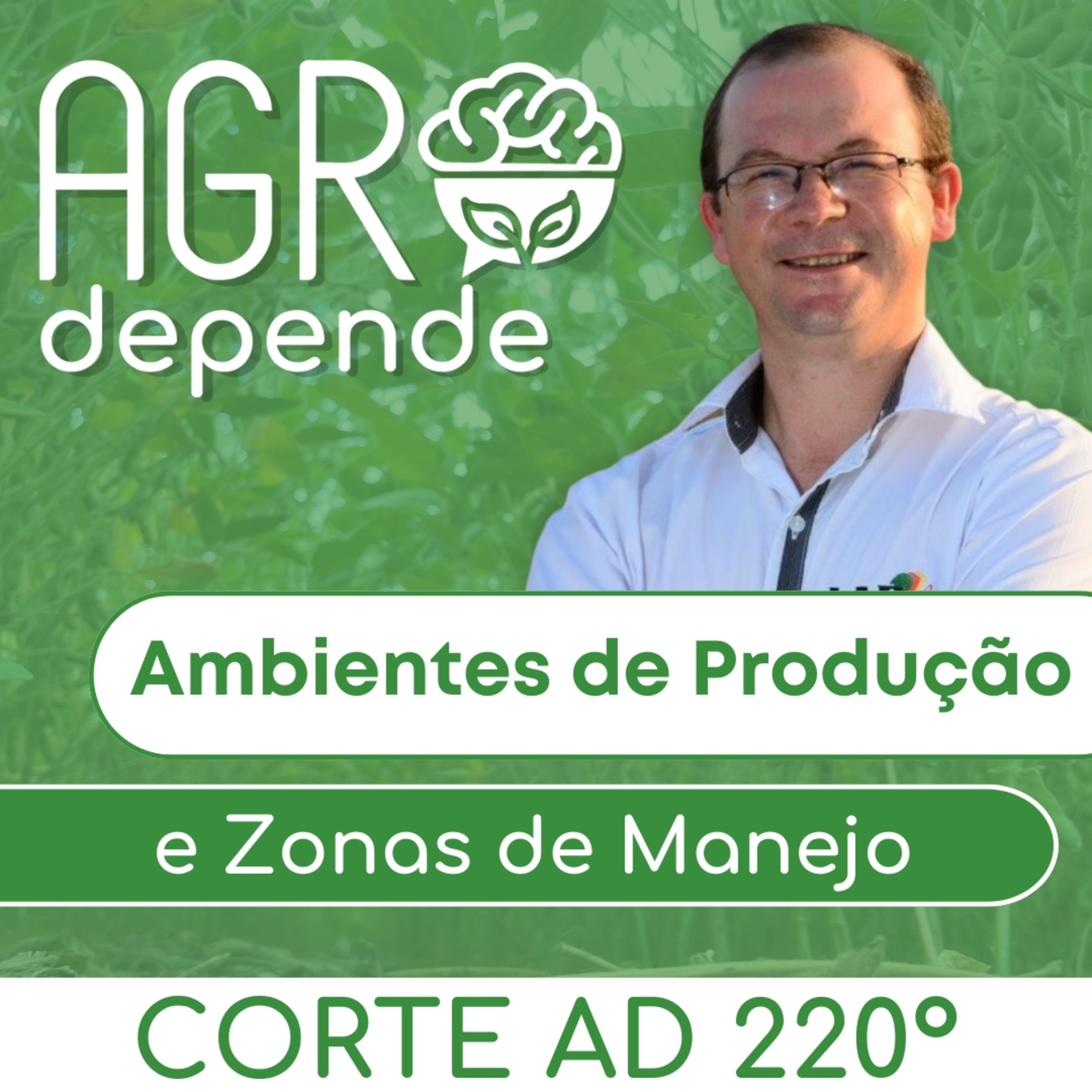 Ambientes de Produção e Zonas de Manejo