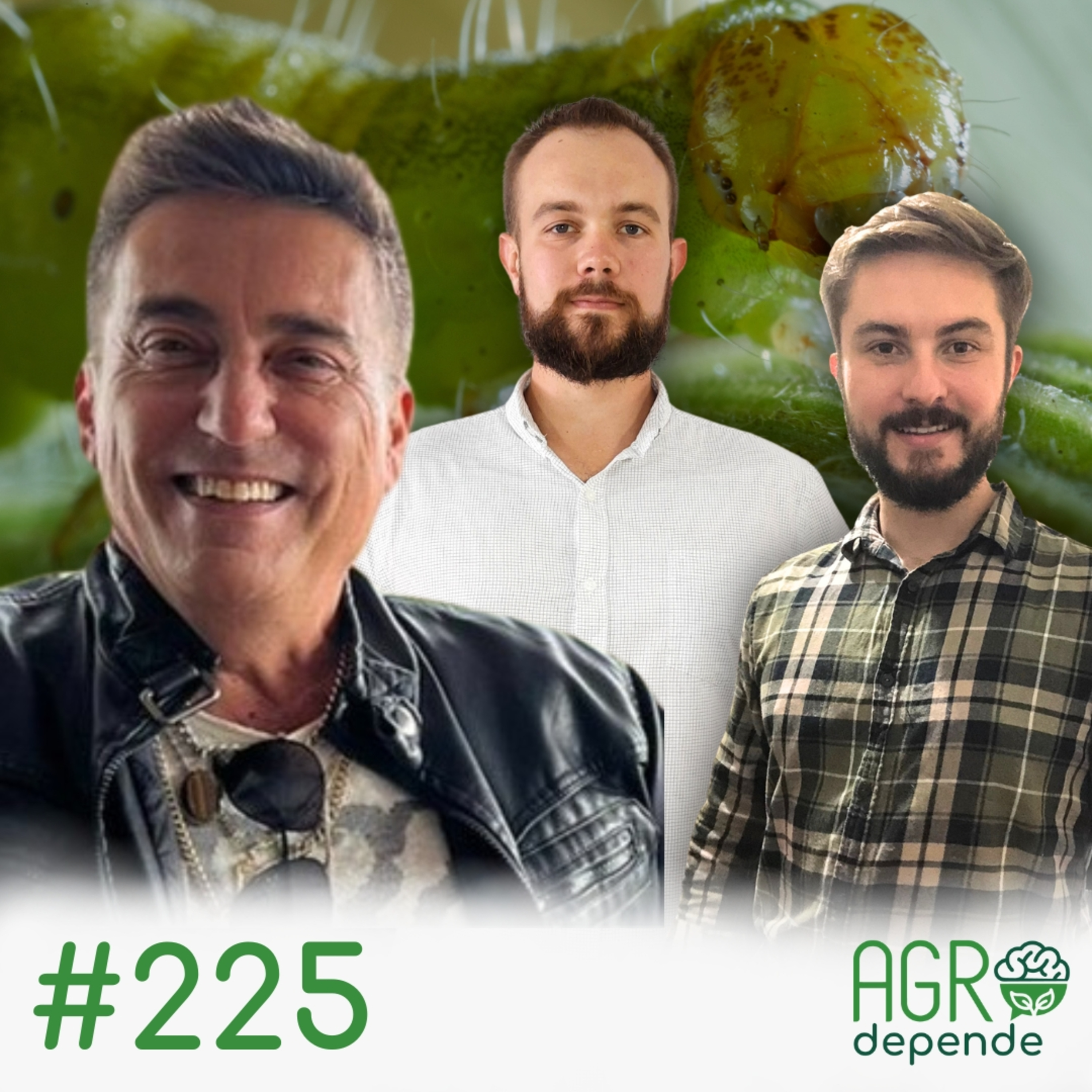 Agro Depende