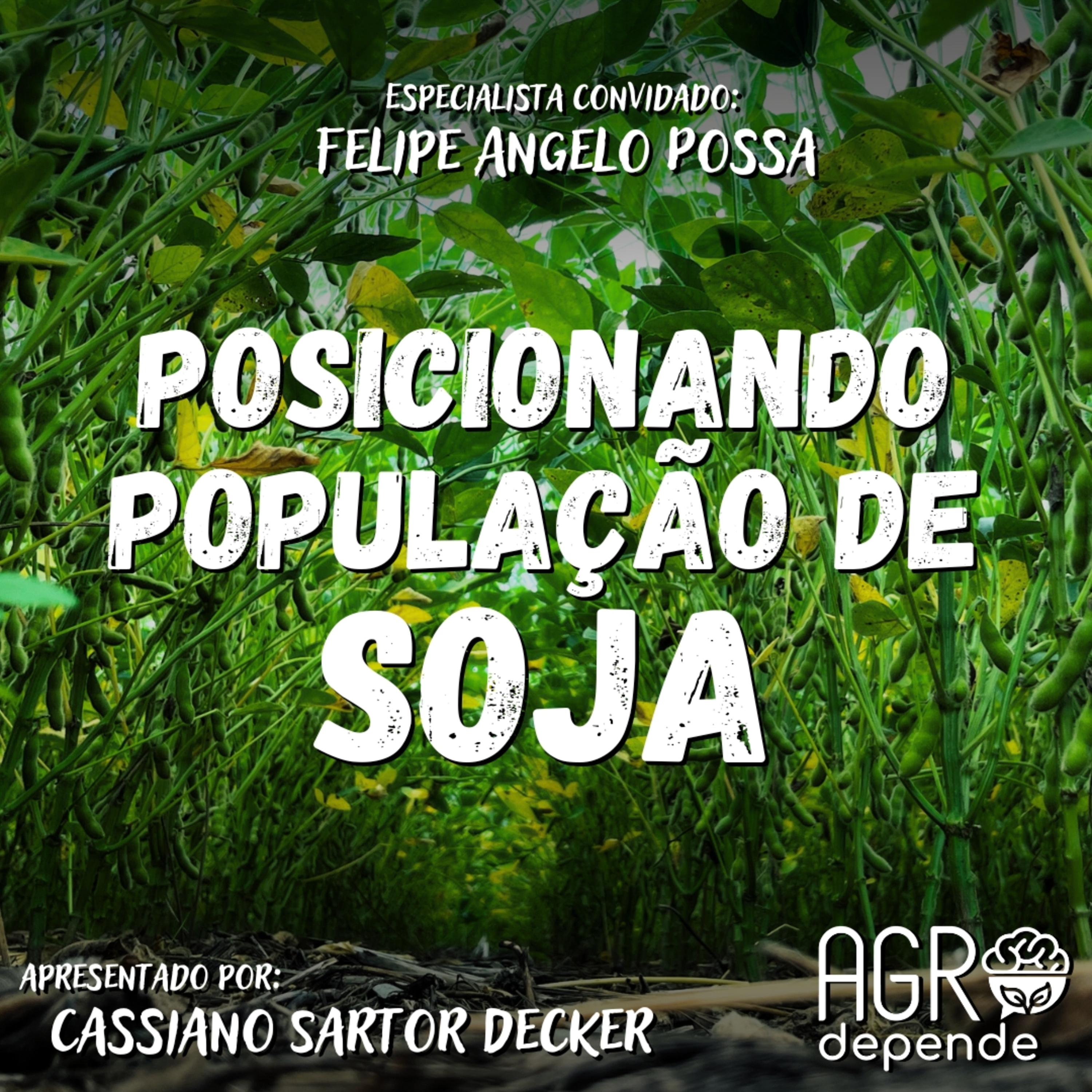 Posicionando População de SOJA