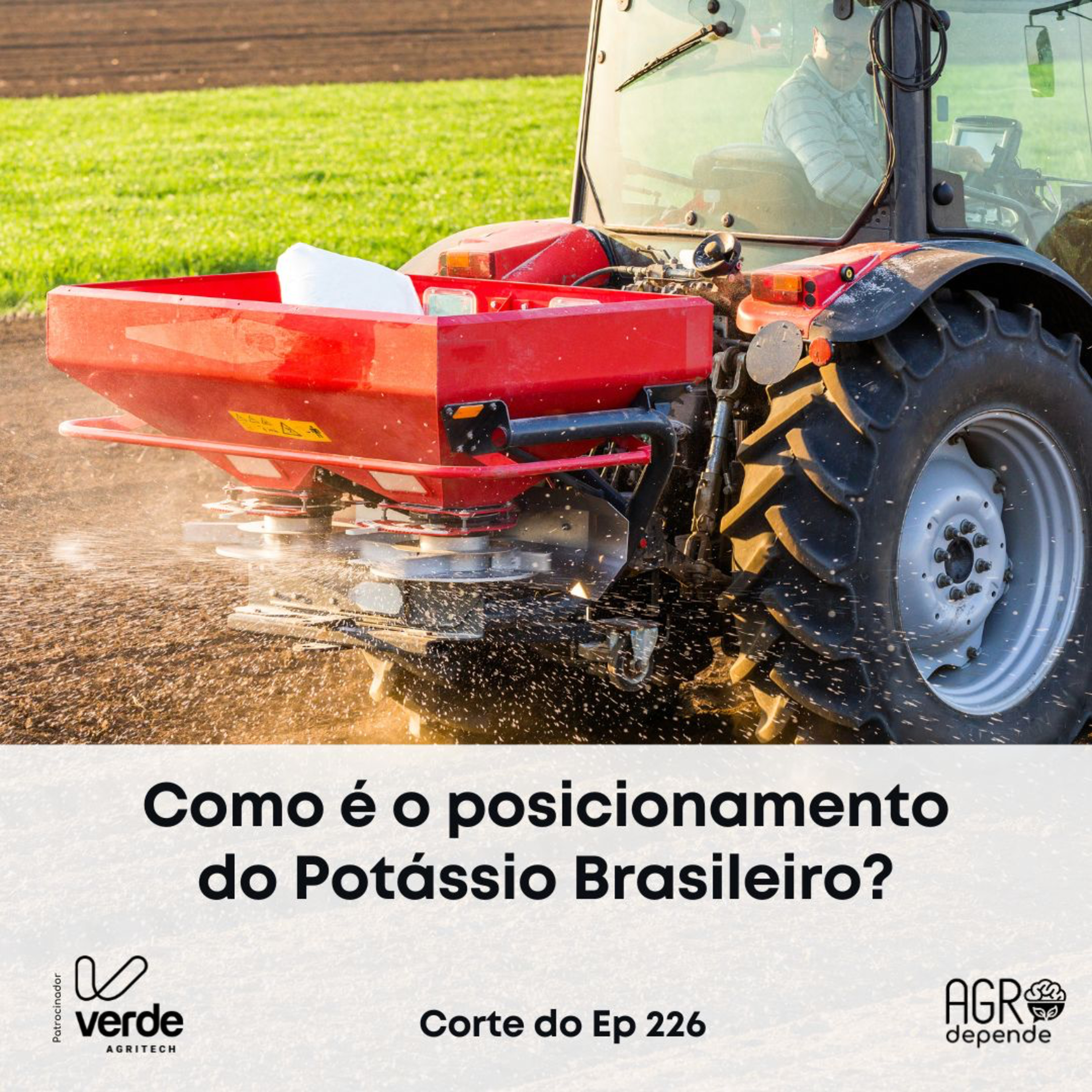 Qual é o posicionamento do Potássio Brasileiro?