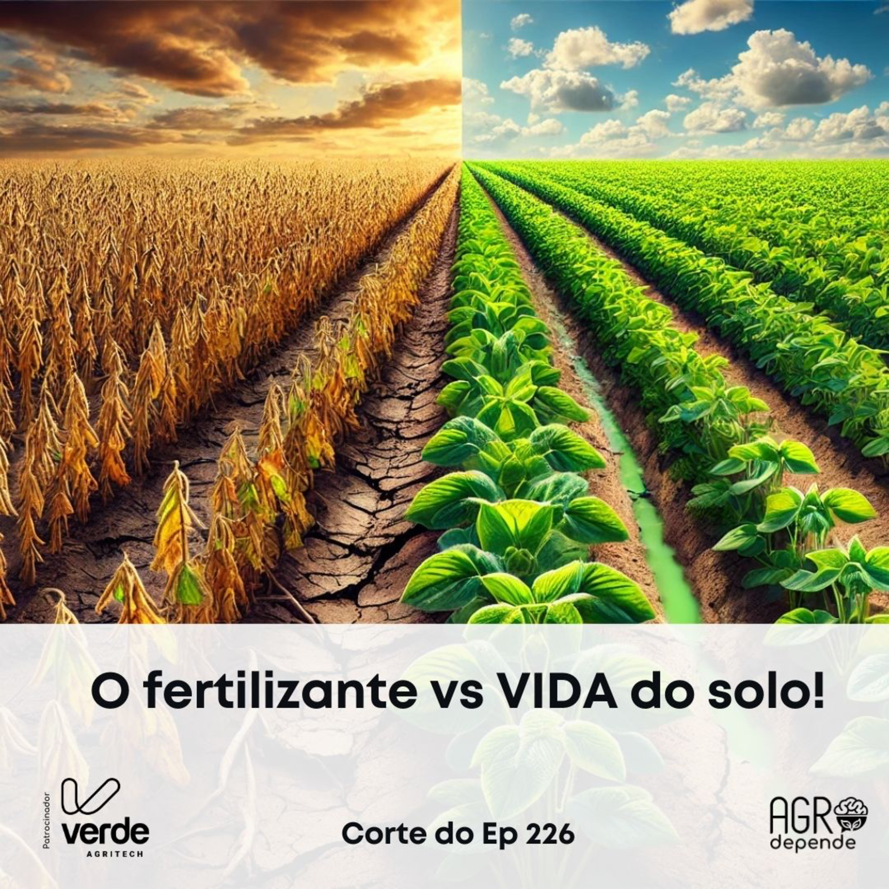 Como o Fertilizante influencia na vida do solo?