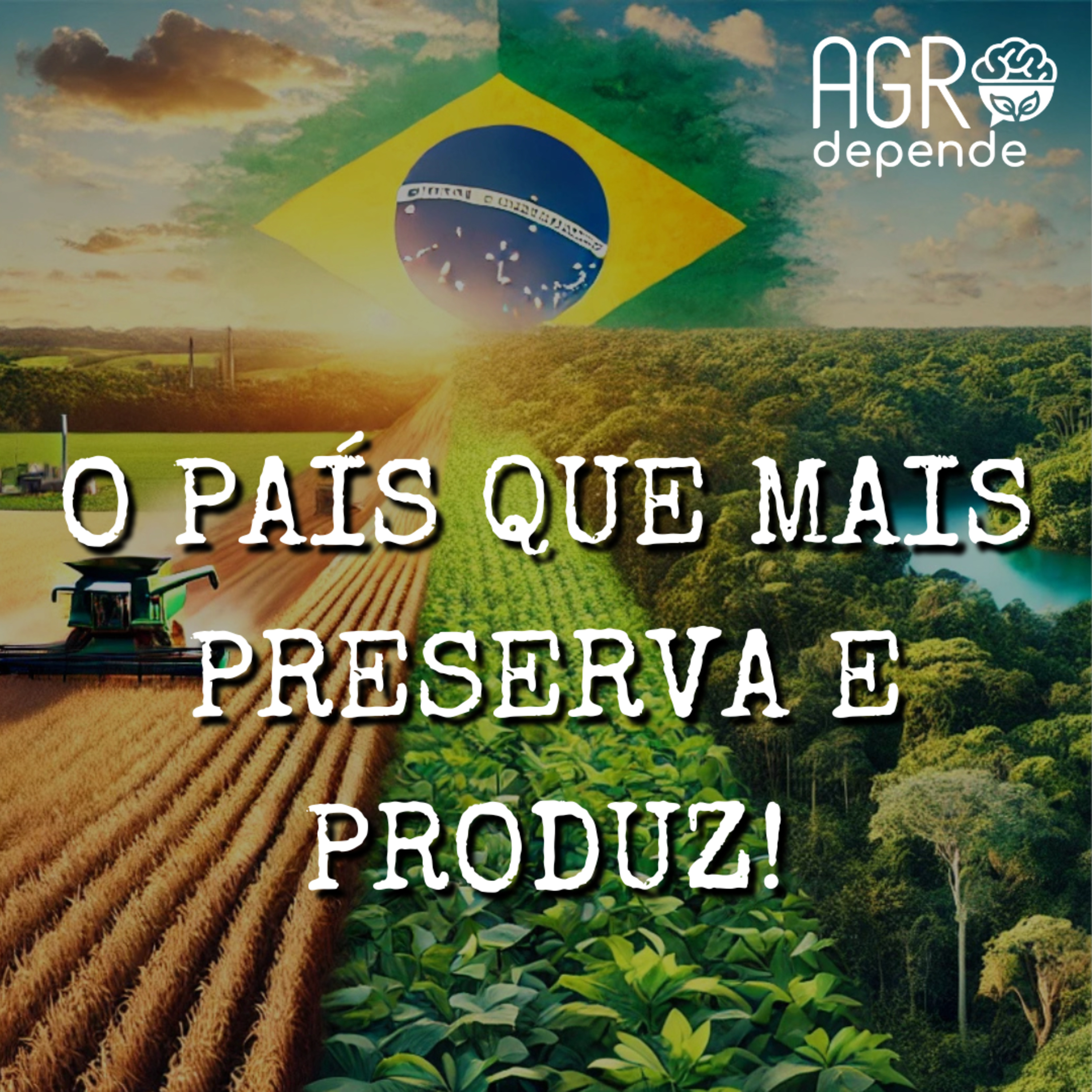 AD 231º - O PAÍS QUE MAIS PRESERVA E PRODUZ!