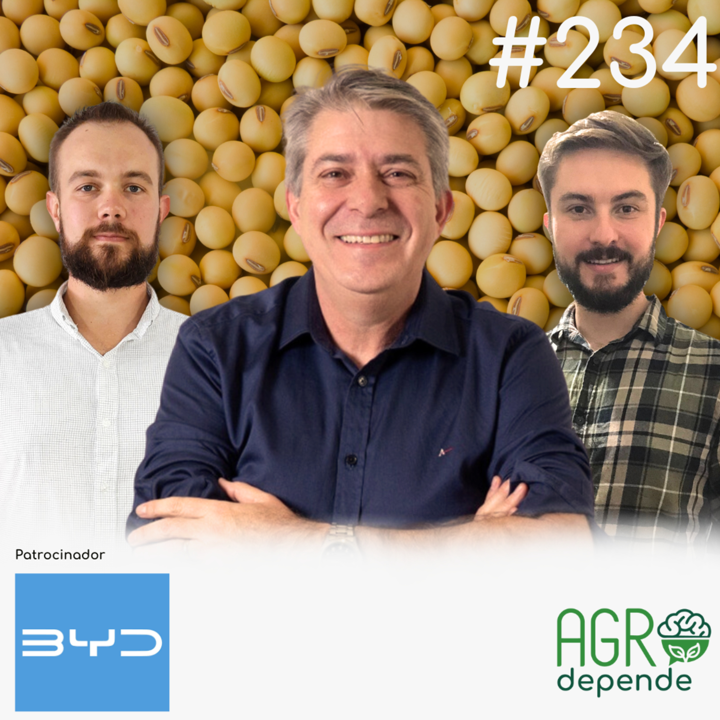 AD 234º - Longevidade de Sementes de Soja