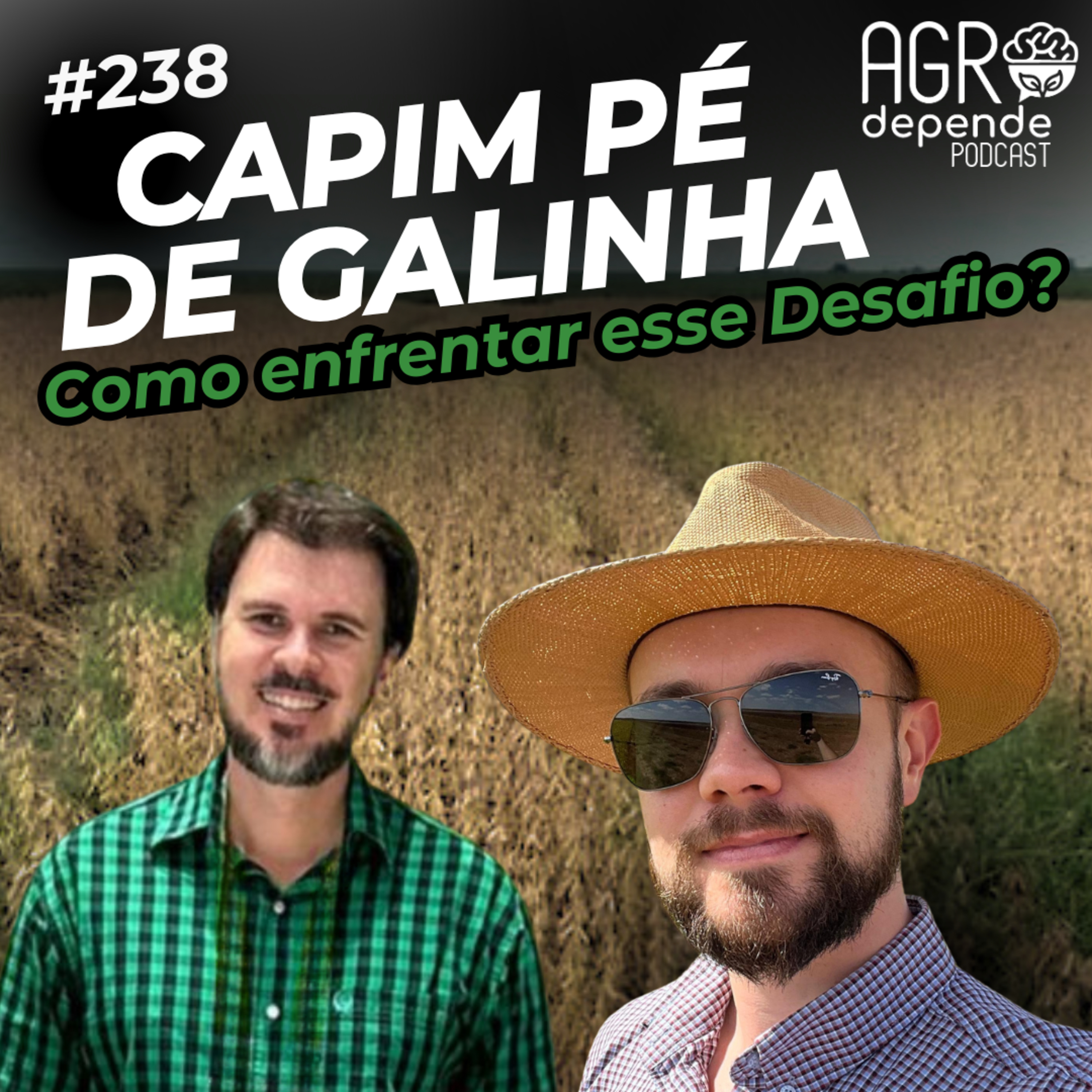 Agro Depende