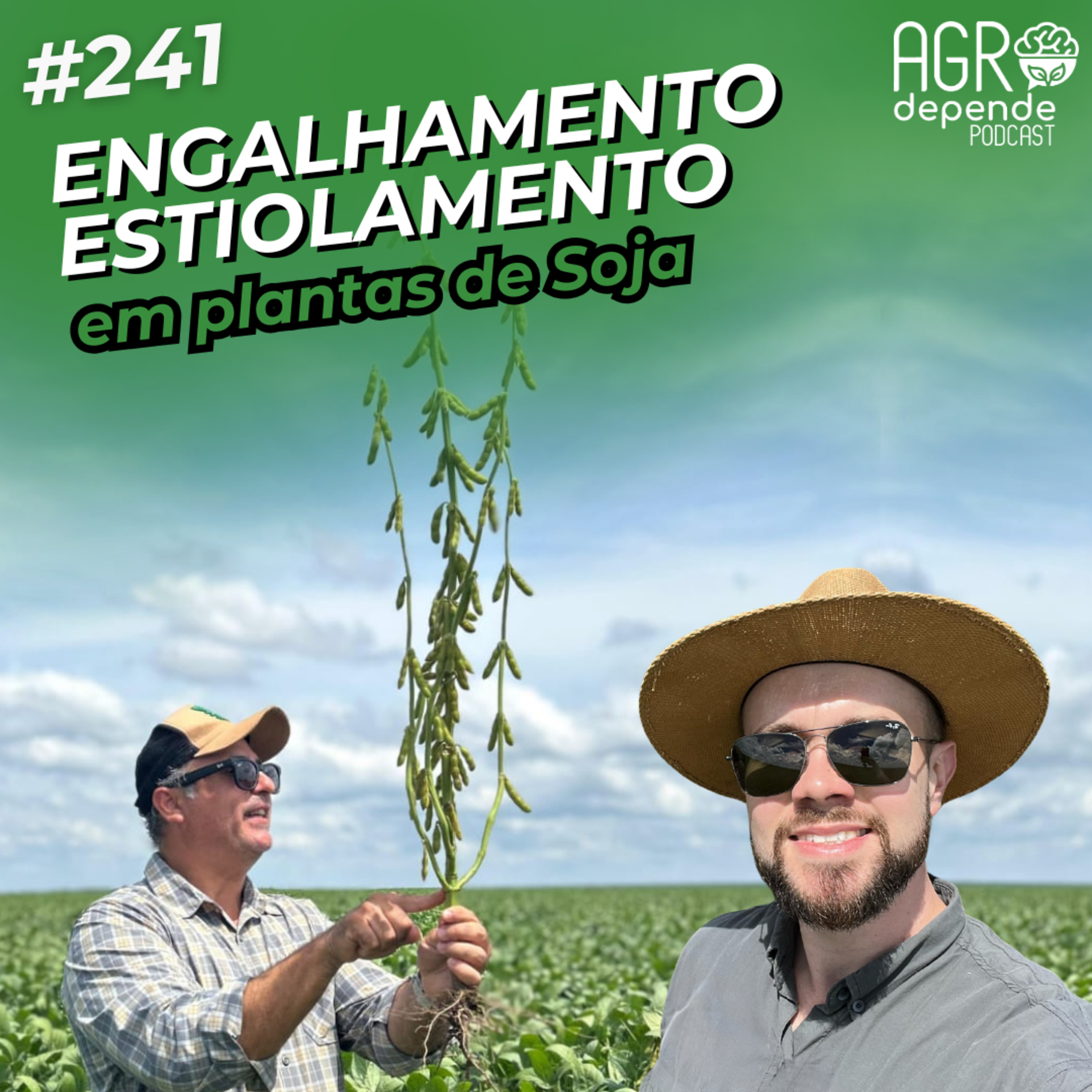 Engalhamento e Estiolamento em Soja: o que você precisa saber pra acertar no manejo (AD241)
