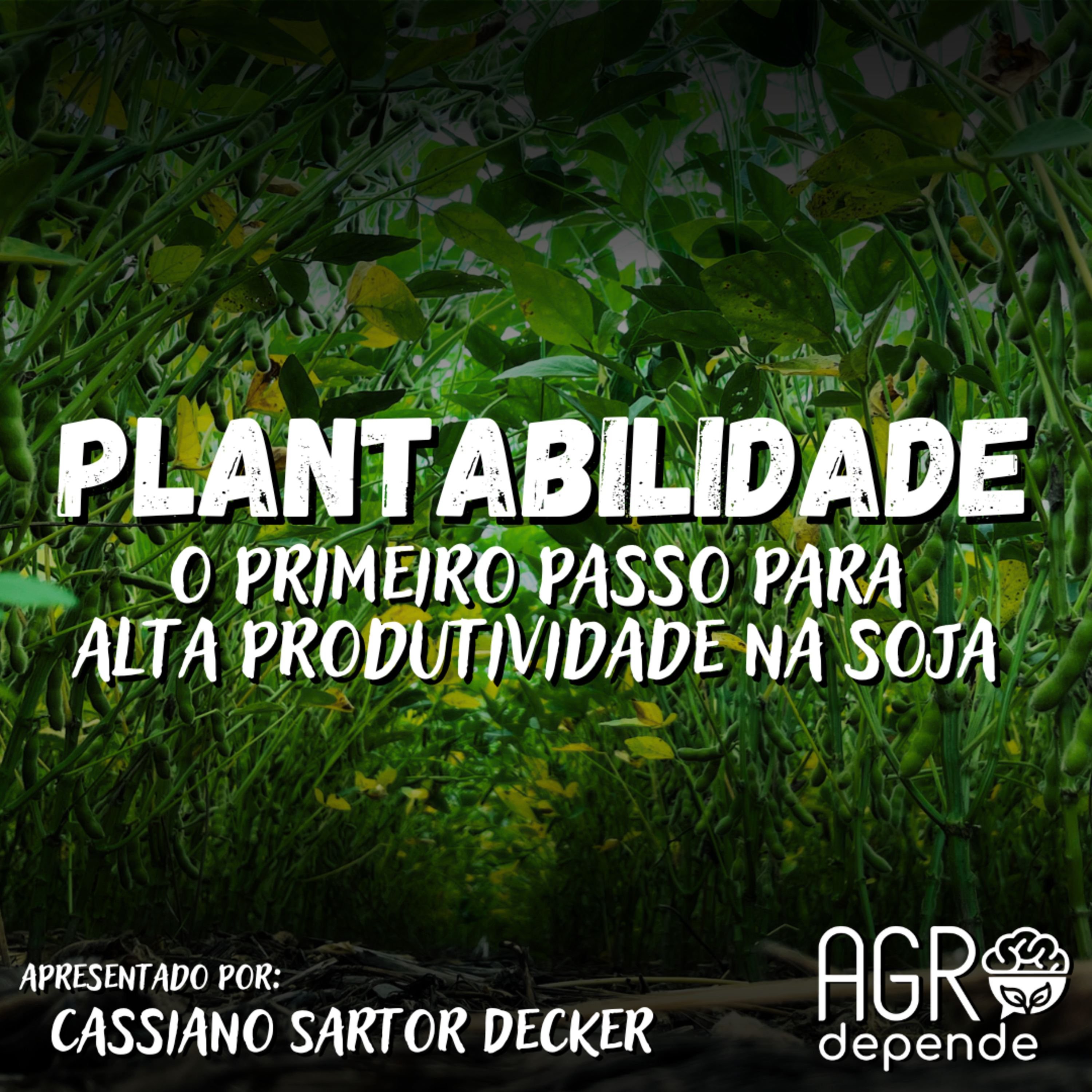 Plantabilidade: o primeiro passo para alta produtividade na soja