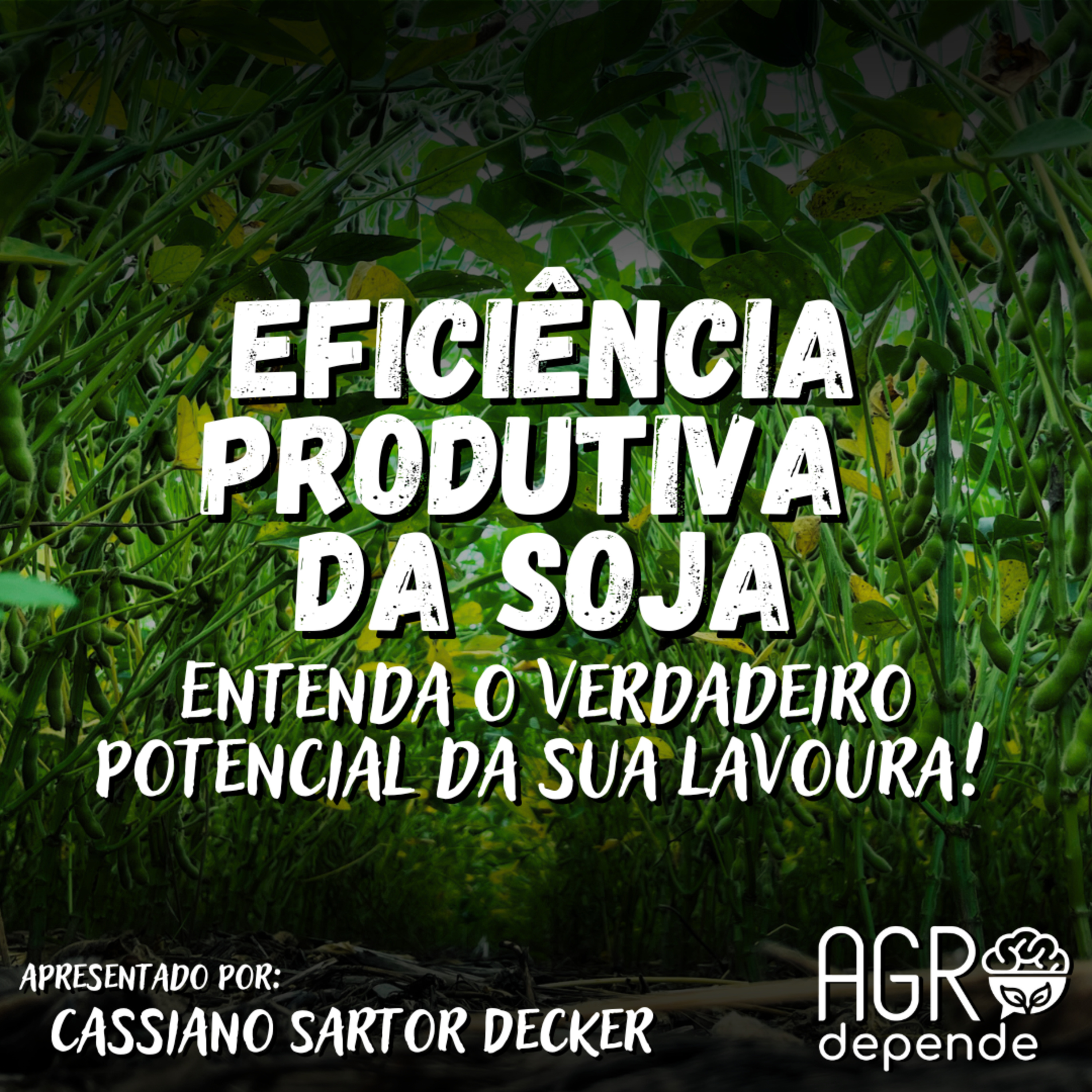 Eficiência Produtiva da Soja: Entenda o verdadeiro potencial da sua lavoura!