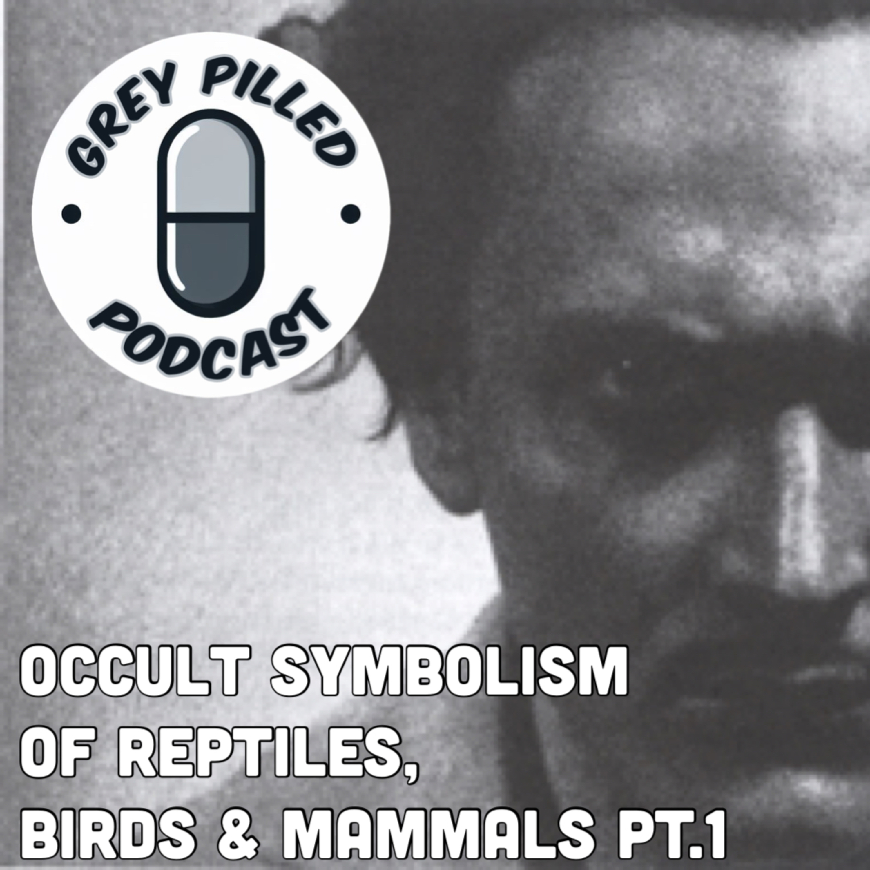 Episode 15 - ESOTERIC BOOK REVIEW: Occult Symbolism of Reptiles, Birds & Mammals pt.1 w/ Chef