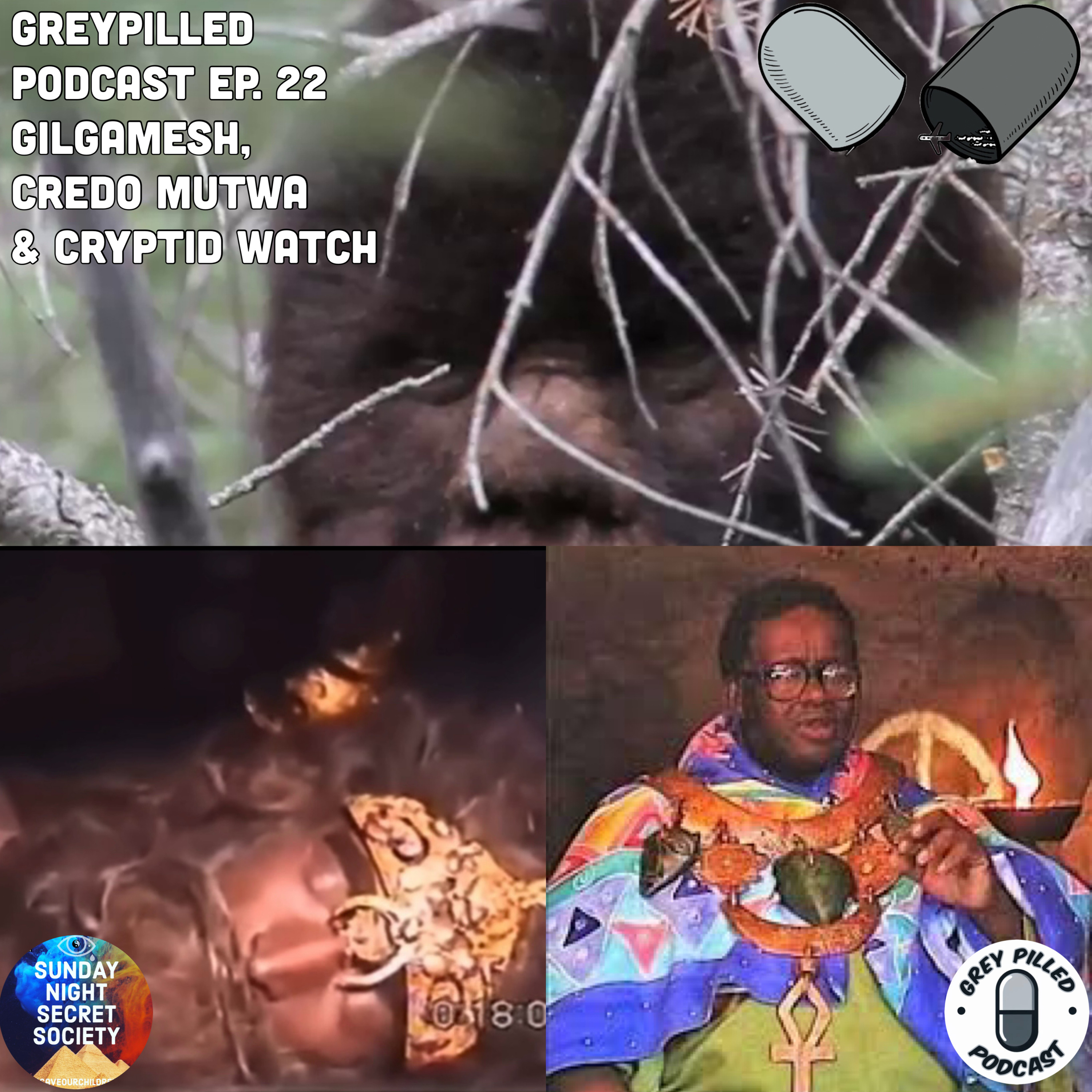 Episode 22 - Cryptid Watch, Gilgamesh & Credo Mutwa w/ Chef