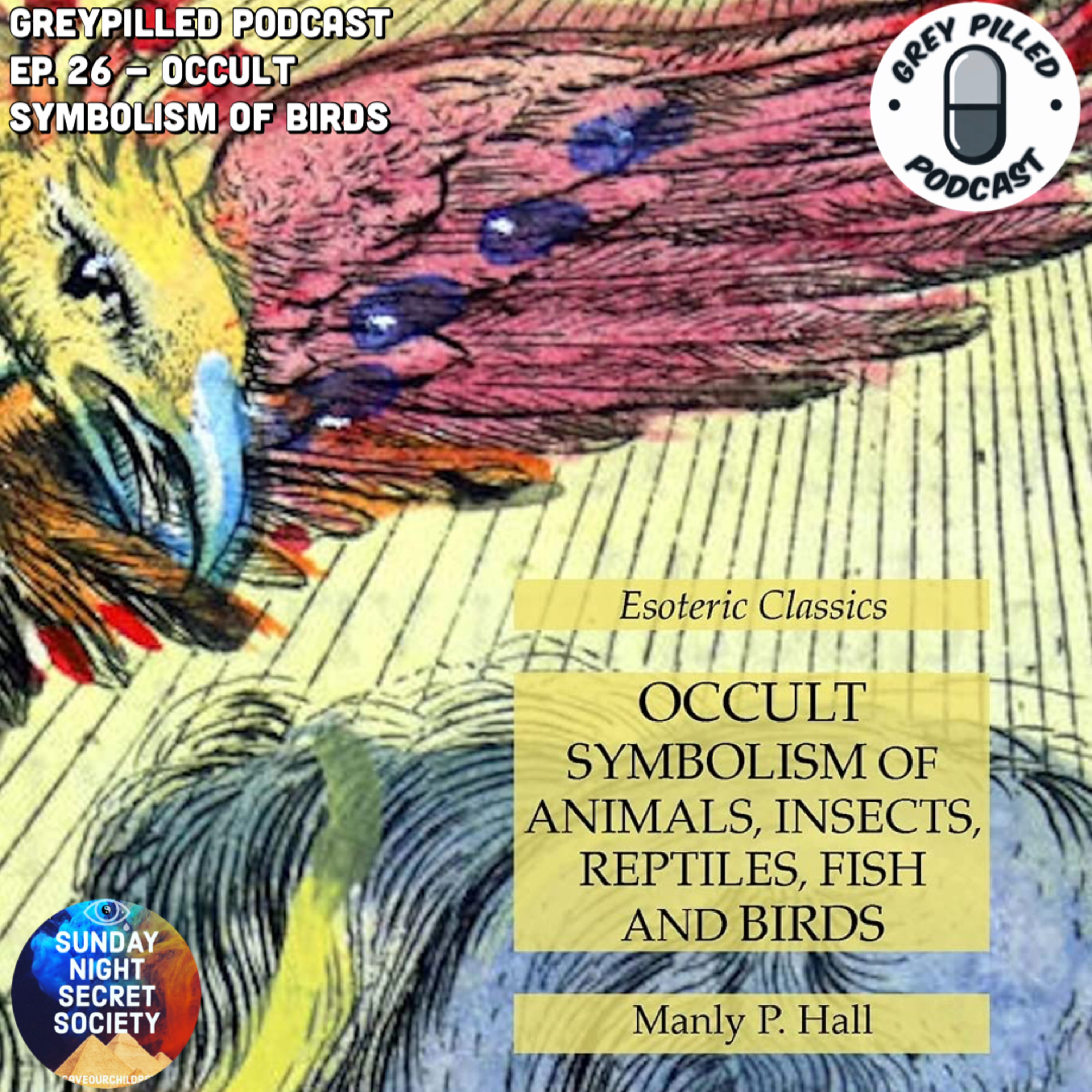 Episode 26 - ESOTERIC BOOK REVIEW: Occult Symbolism of Birds w/ Chef