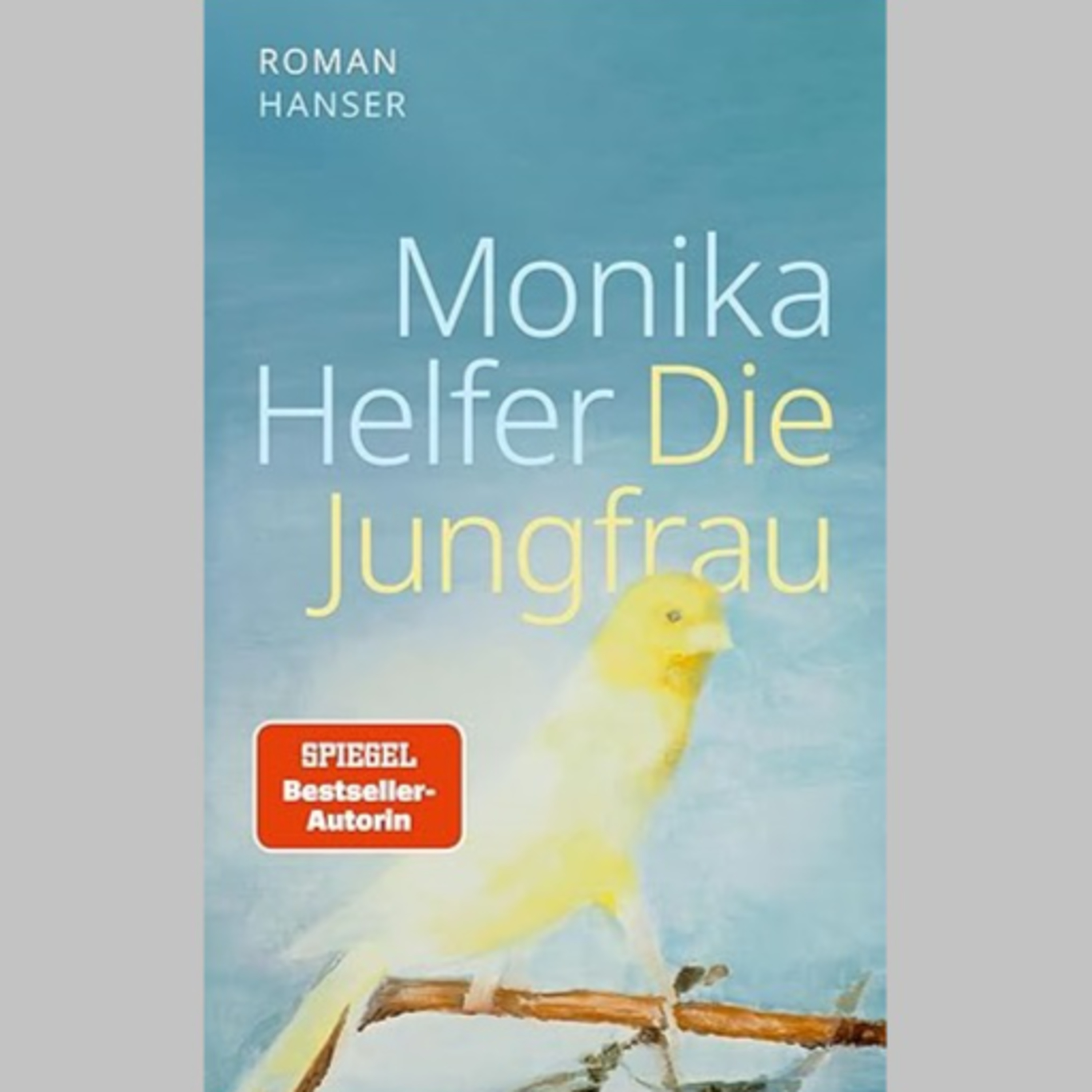 BOOK SHOT. Literatur beflügelt.