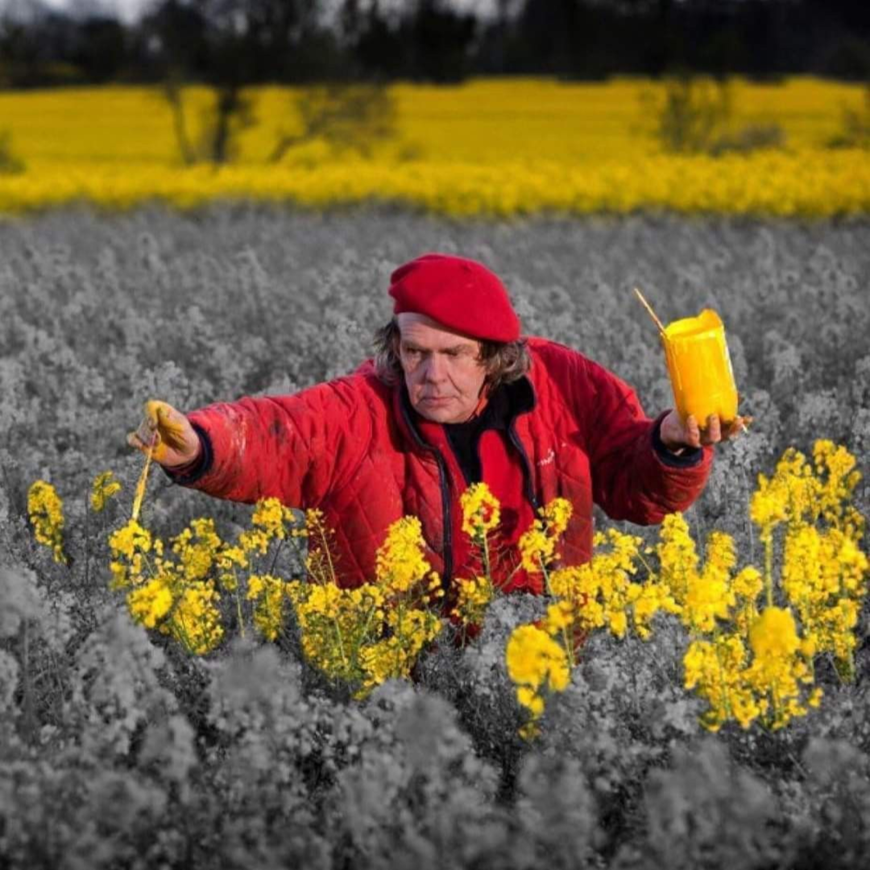 Cosmovision by Karlota