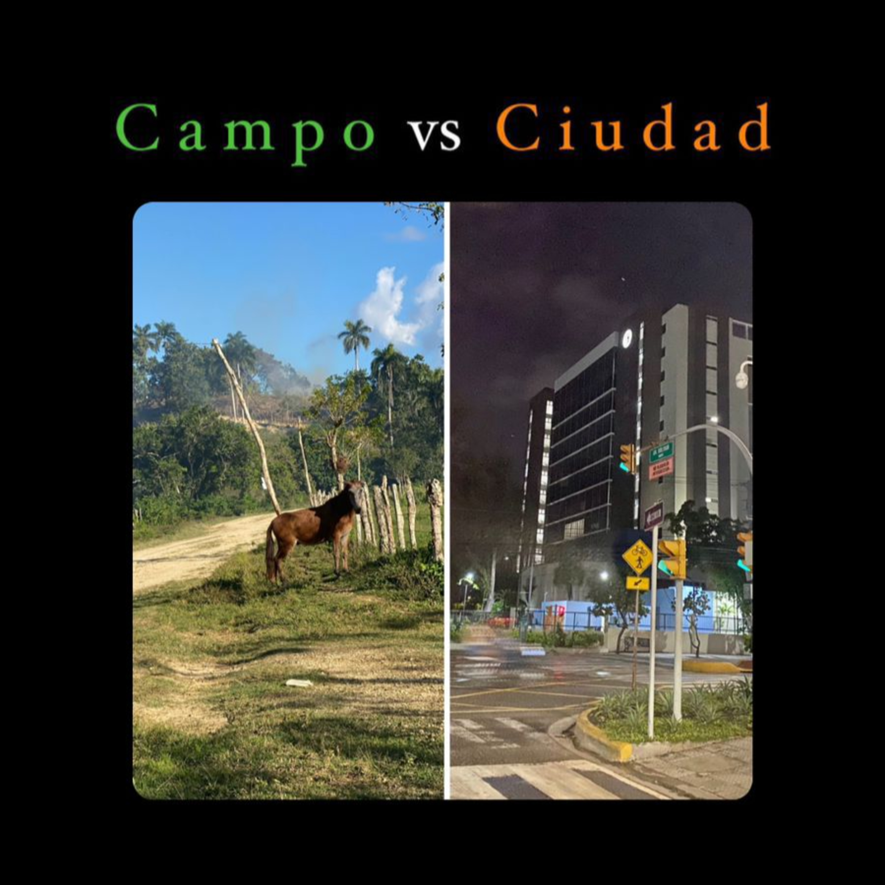 8. Campo vs ciudad episode artwork