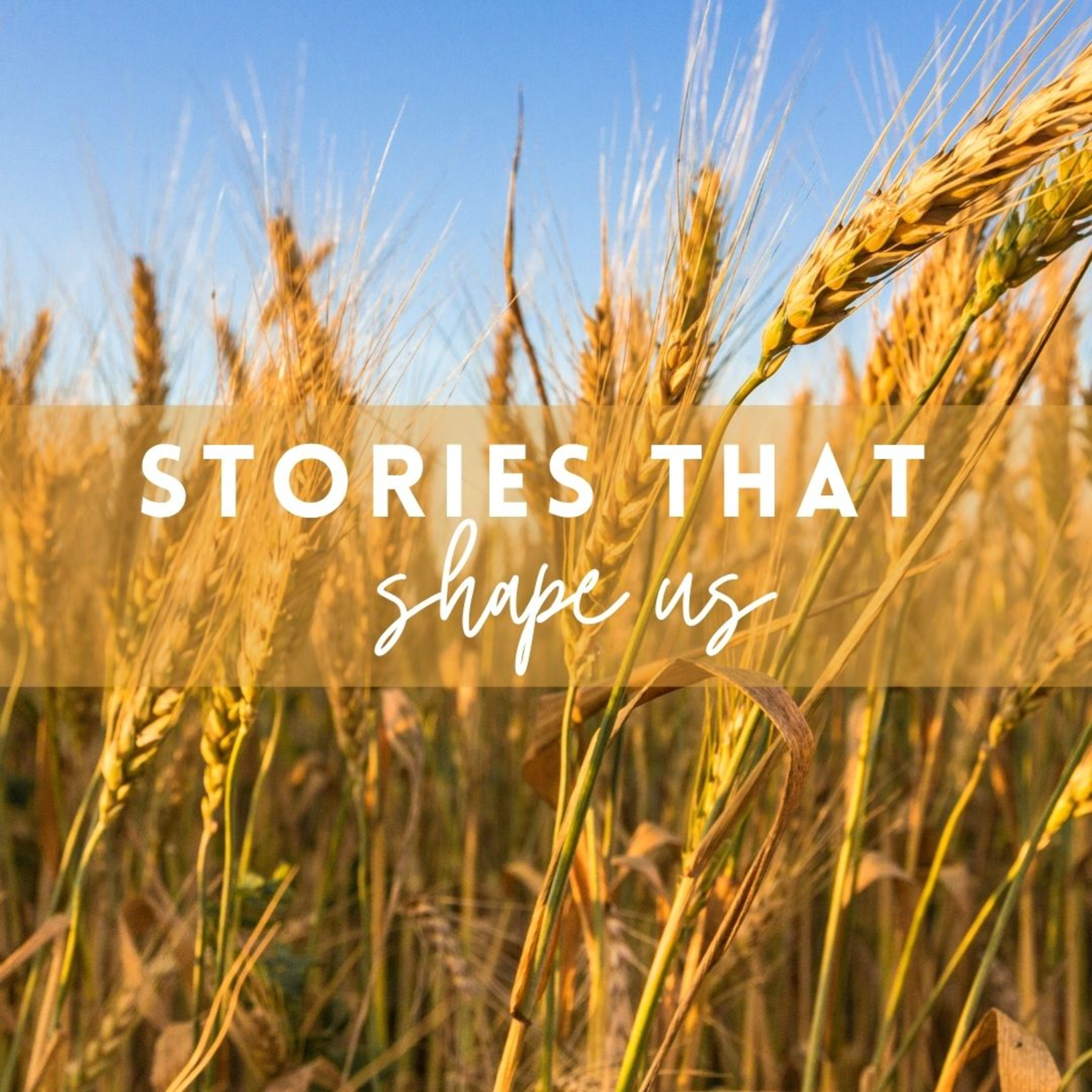 Stories that Shape us #01 | The Good Samaritan | Sue Brown episode artwork