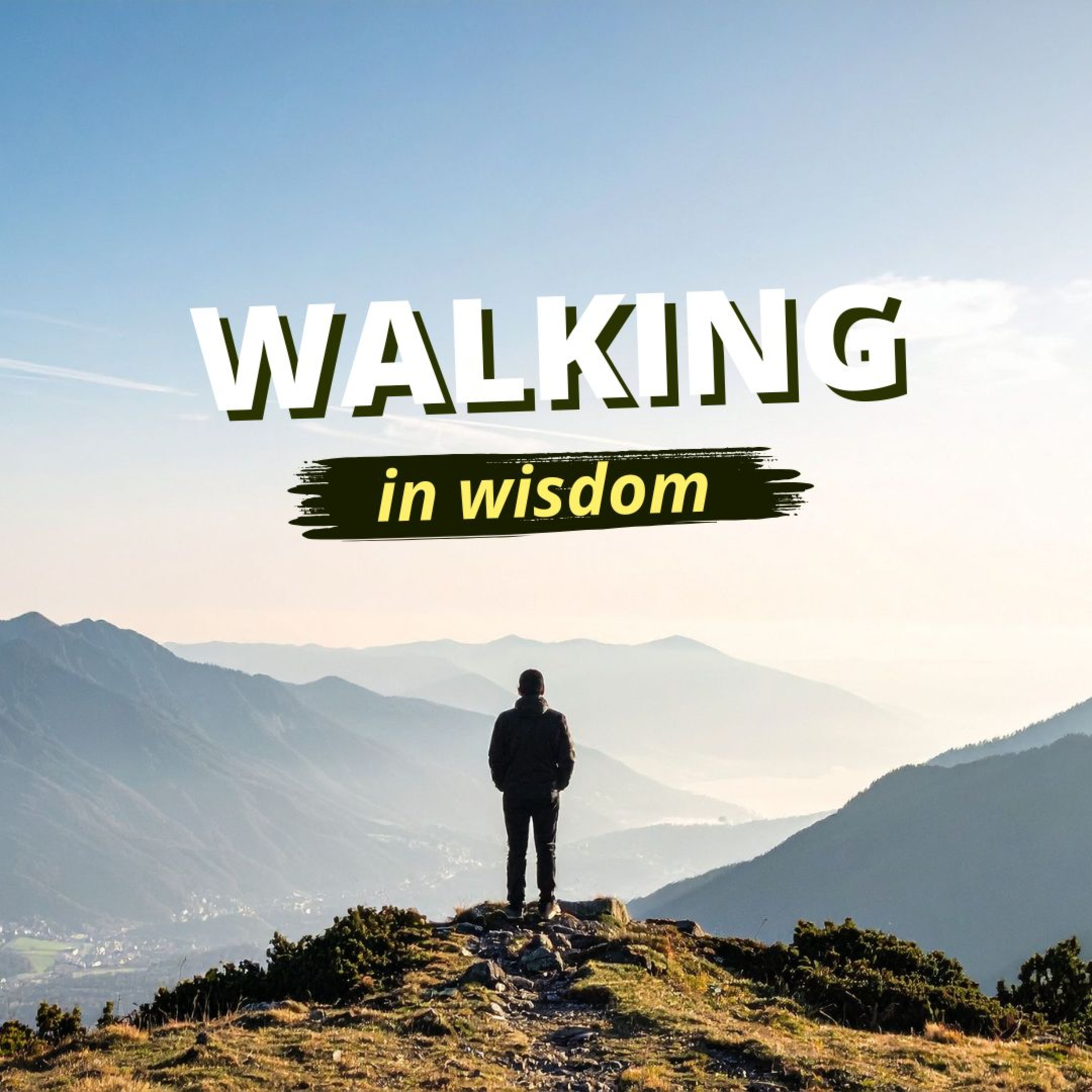 Walking in Wisdom #02 | Iron sharpens iron | Kady Taylor episode artwork