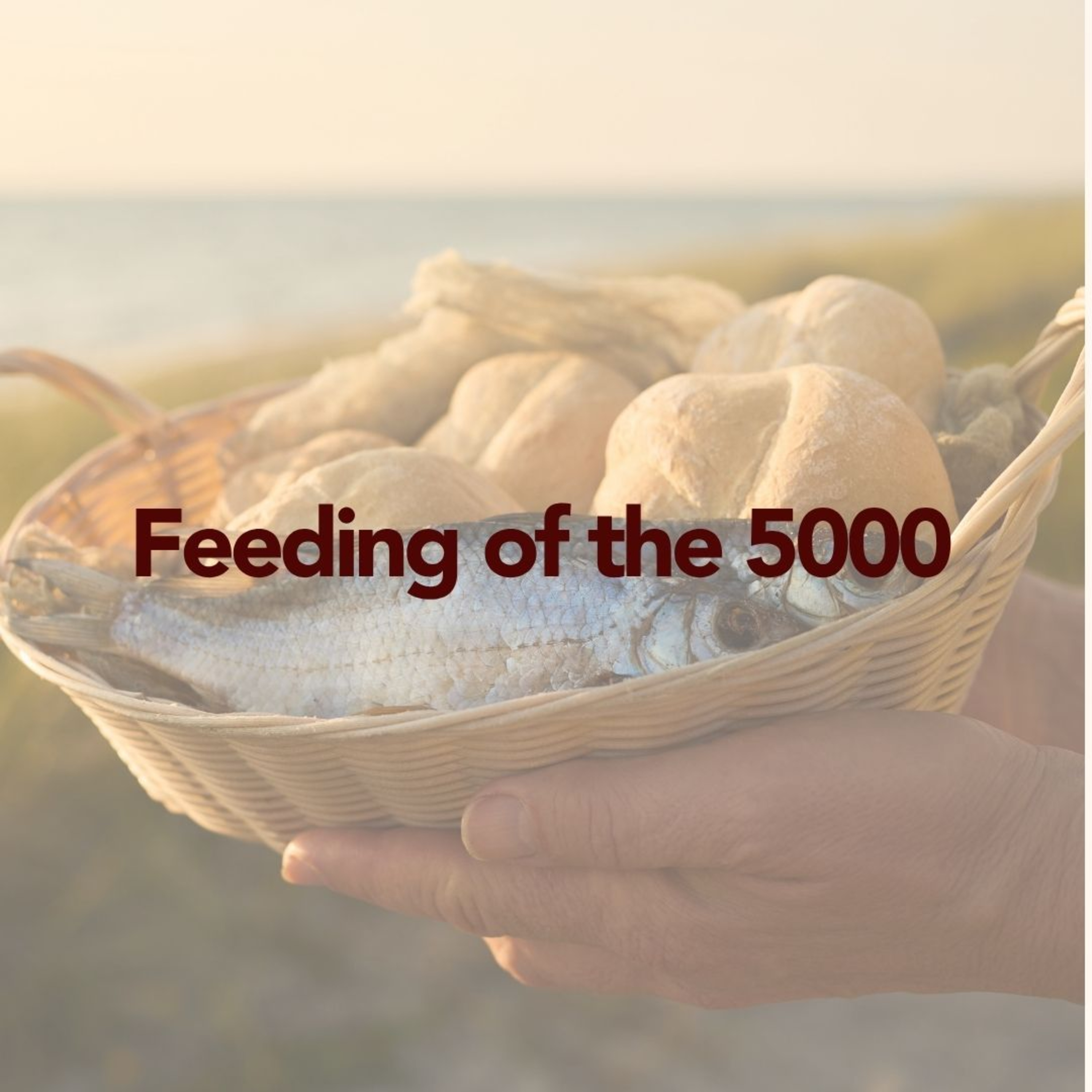 Show up and be seen | Feeding of the 5000 | Abby Evans episode artwork