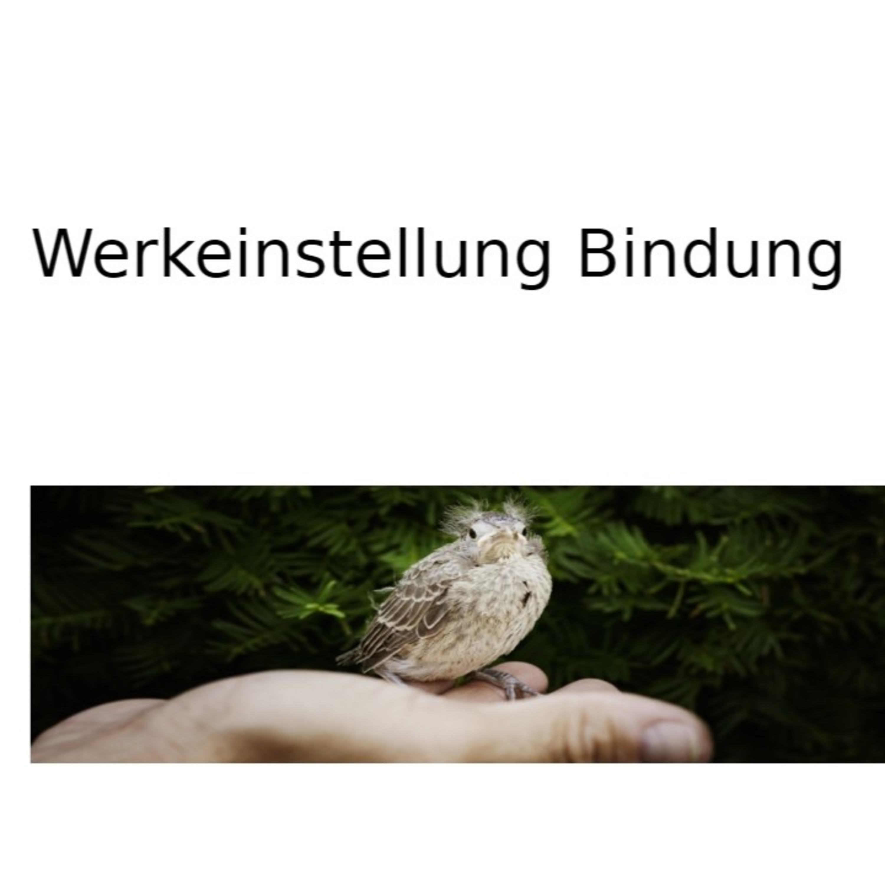 Werkeinstellung Bindung - Predigt von Gisela Ulmer vom 10.05.2026 episode artwork