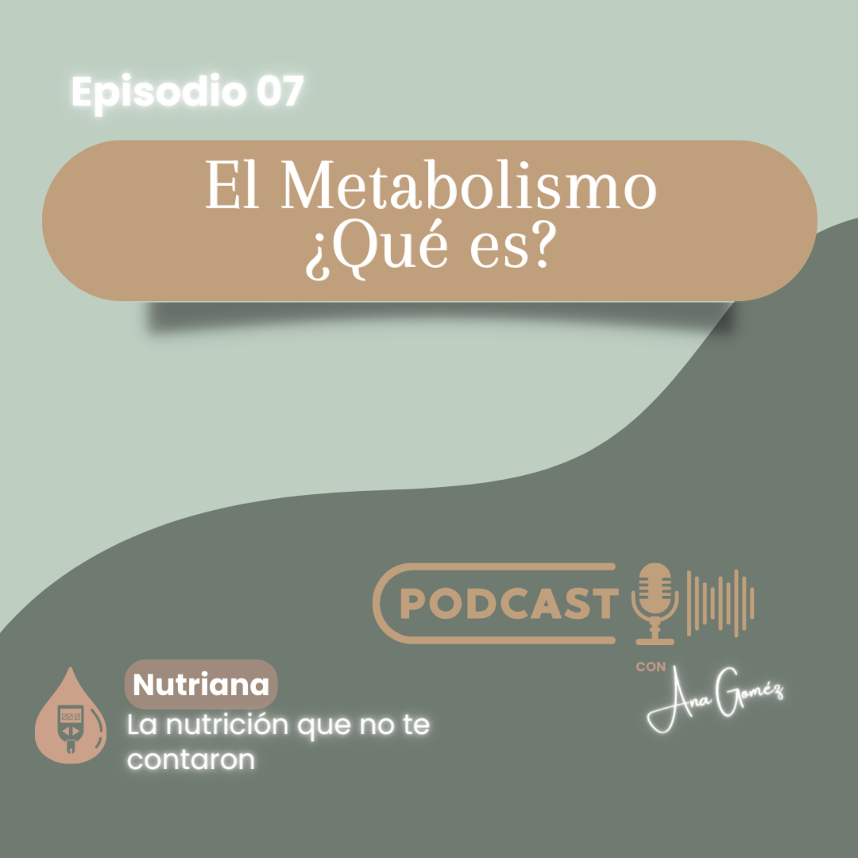 El Metabolismo ¿Qué es? _ 007 episode artwork