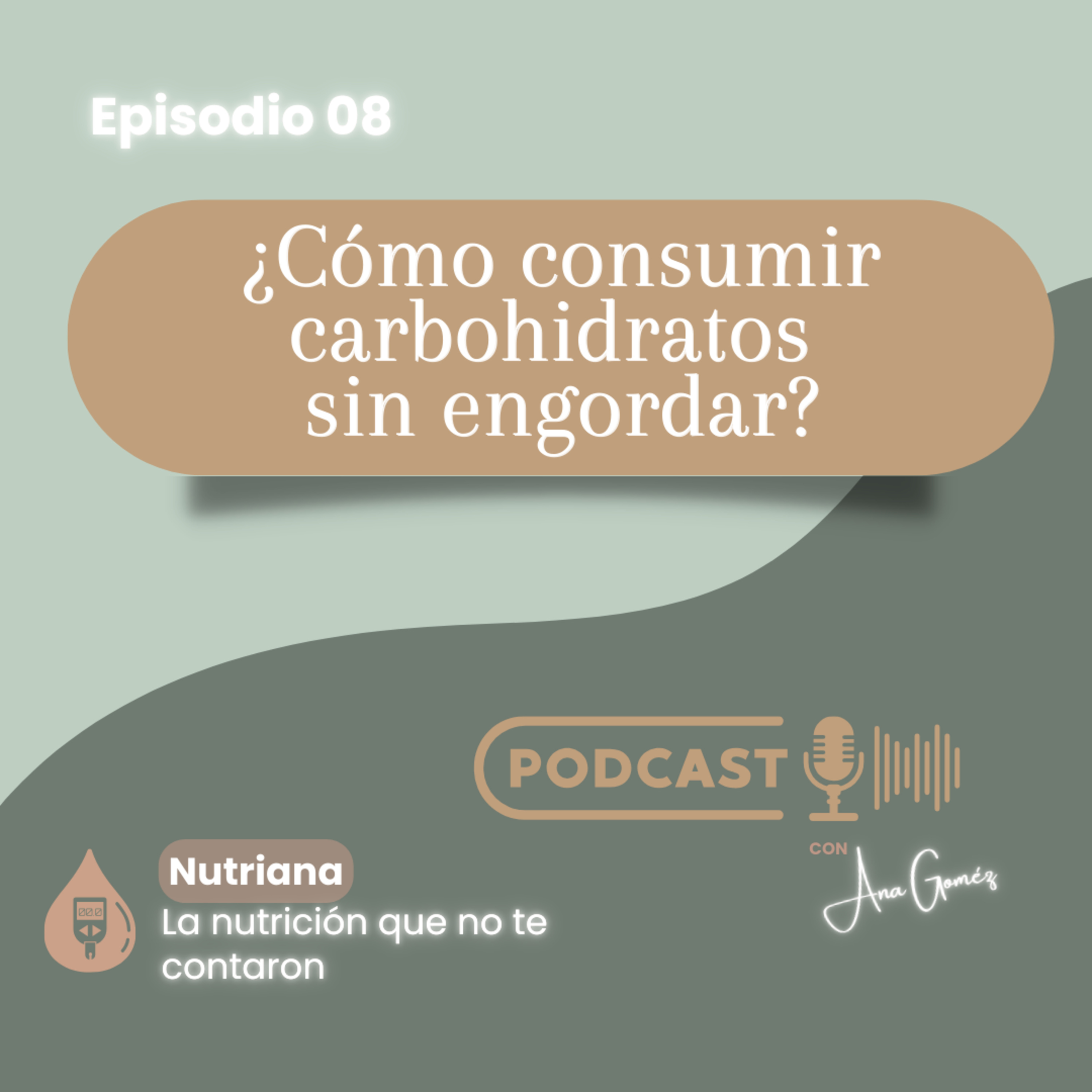 ¿Cómo consumir carbohidratos sin engordar?_ 008 episode artwork