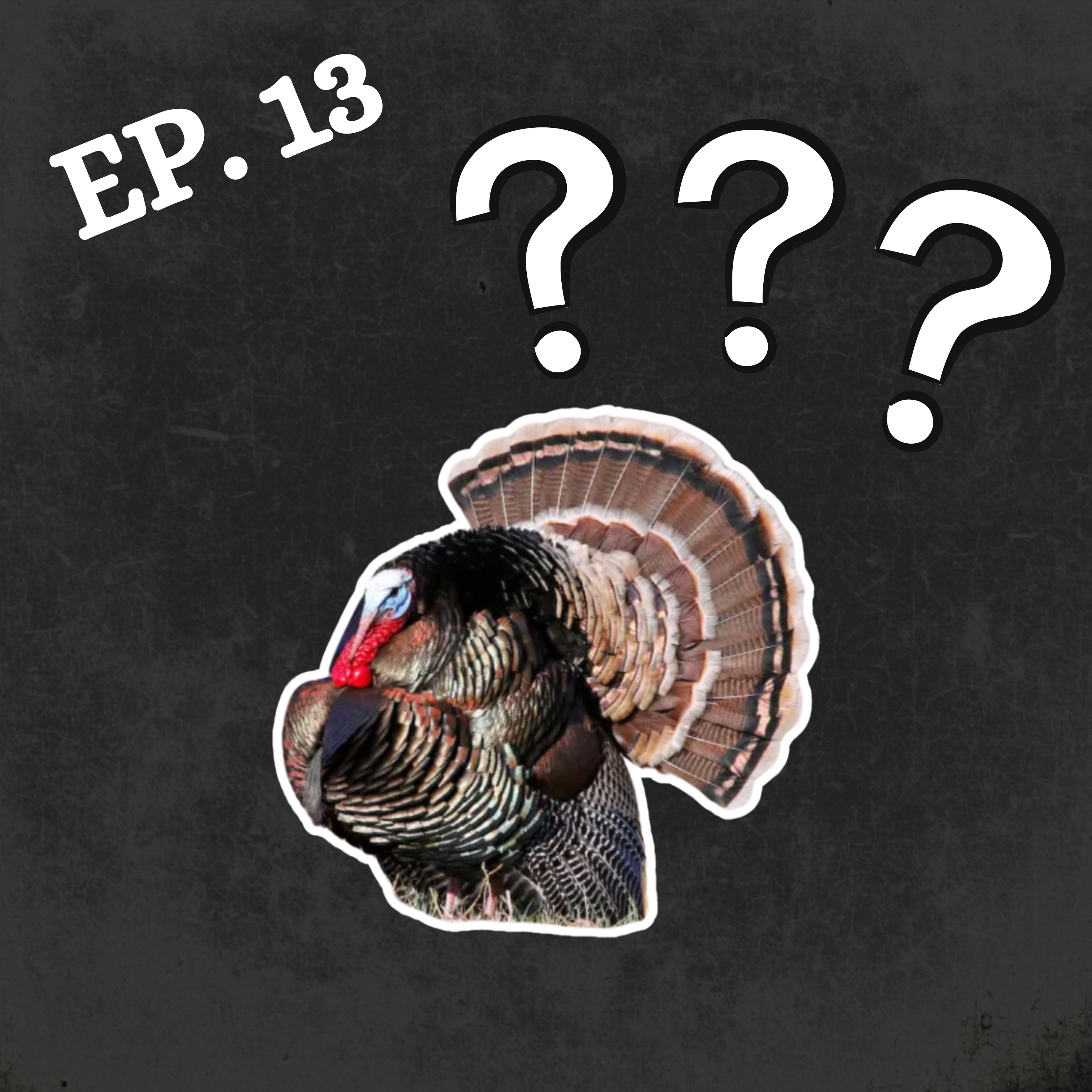 Episode 13: Oklahoma Turkey Hunting and Turkey Research with Dr. Chitwood from Oklahoma State. episode artwork