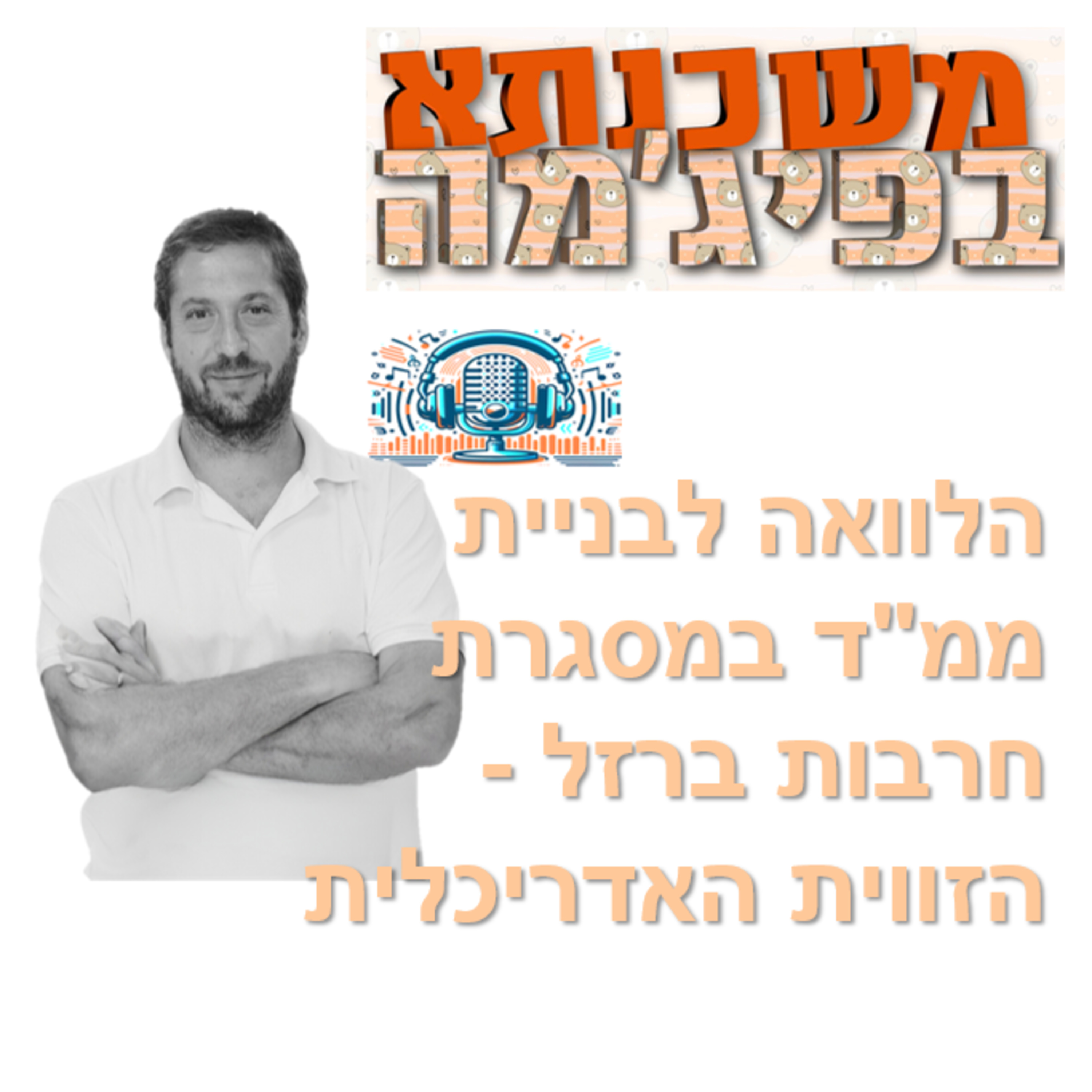 פרק מספר 78 - בניית ממ"ד - הקלות חרבות ברזל - הזווית האדריכלית episode artwork